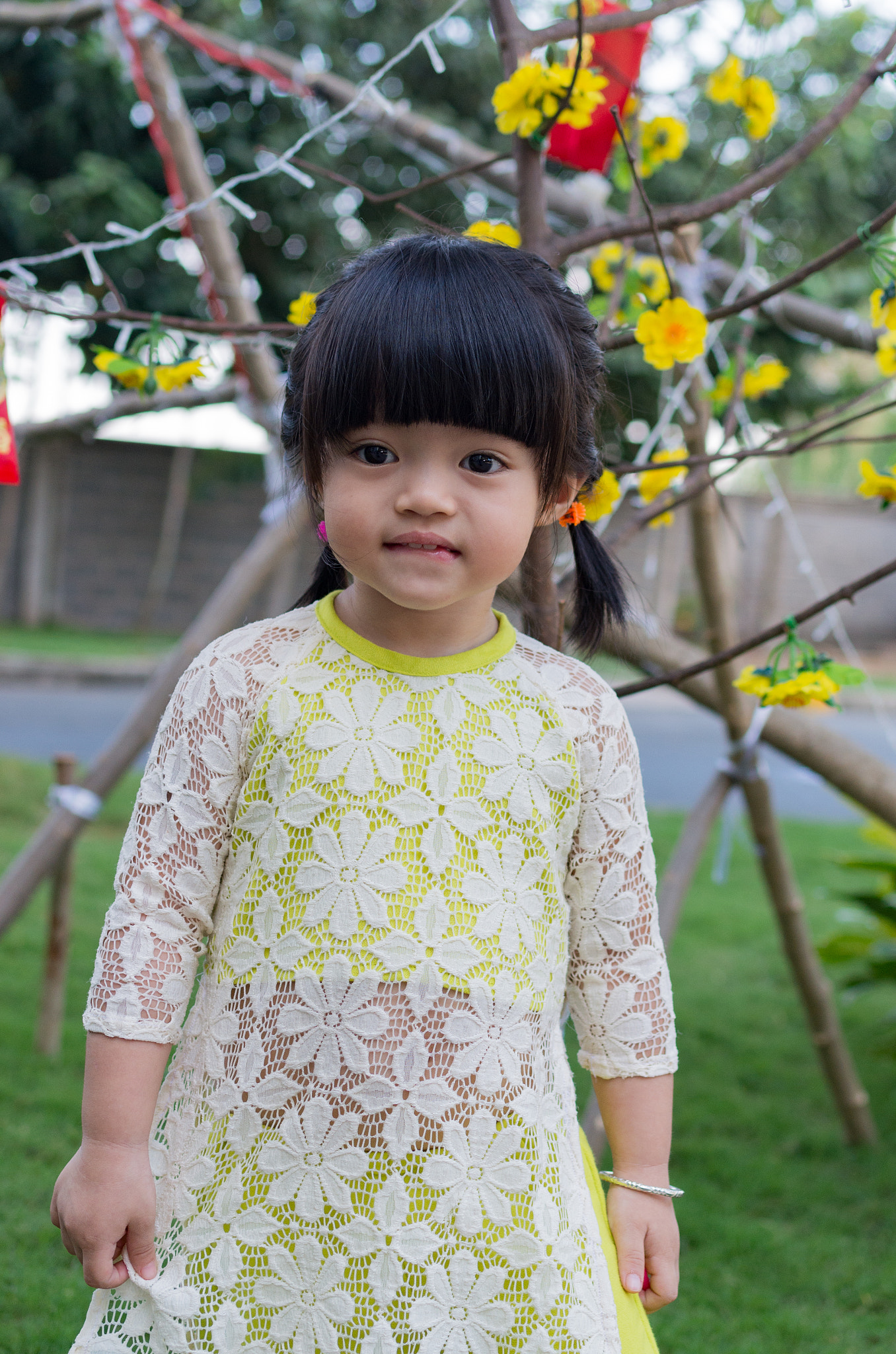 Pentax K-5 IIs sample photo. K52s8898.jpg photography