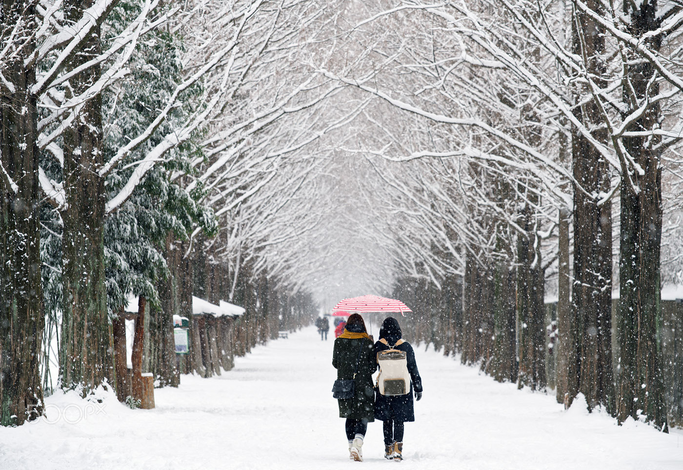 Minolta/Sony AF 70-200mm F2.8 G sample photo. Snowy street. photography