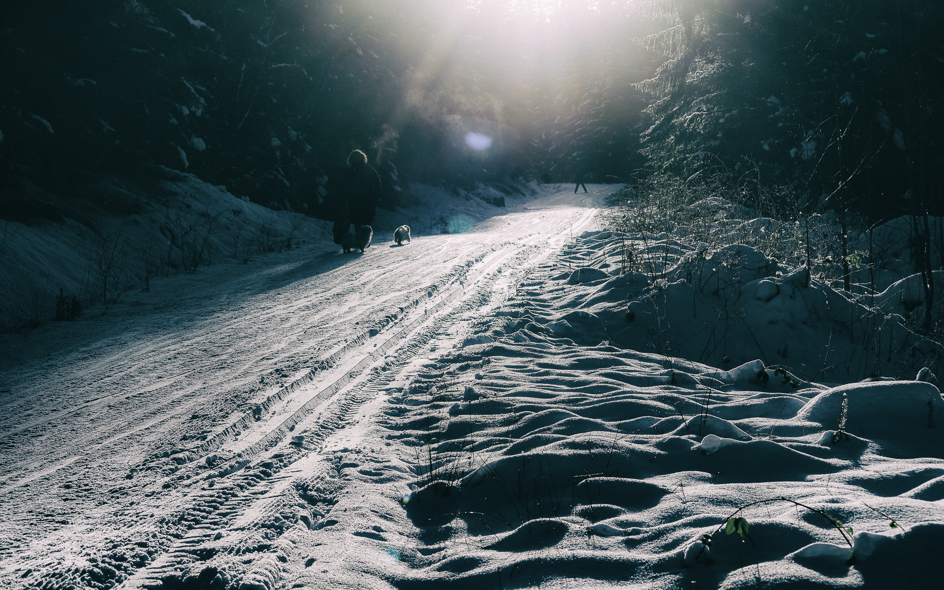 Nikon D800 + AF Nikkor 70-210mm f/4-5.6 sample photo. Winter walk photography