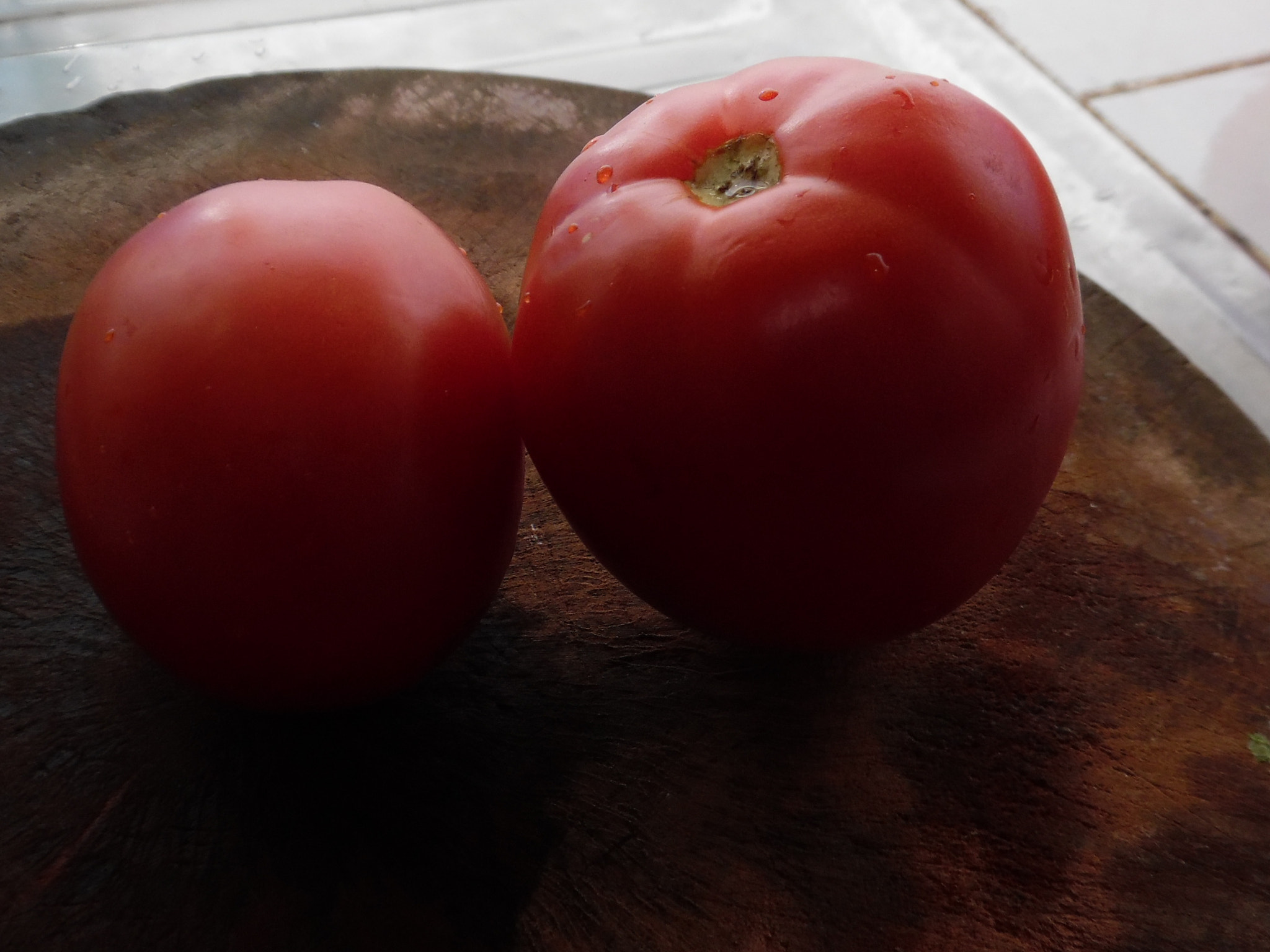 Samsung WB50F/WB51F/WB52F sample photo. Tomato photography