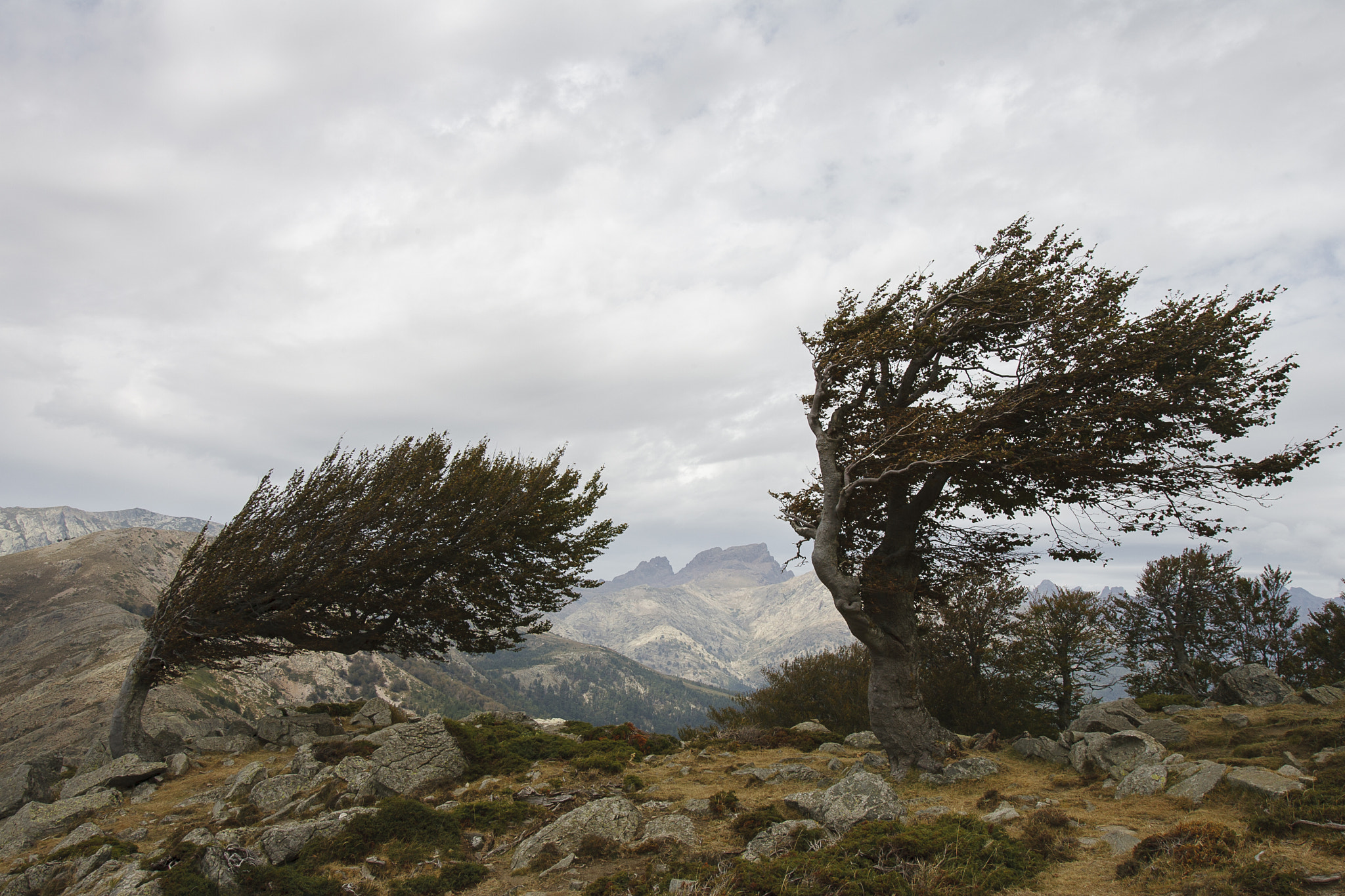 Canon EF 16-35mm F2.8L USM sample photo. Corsica gr20 photography