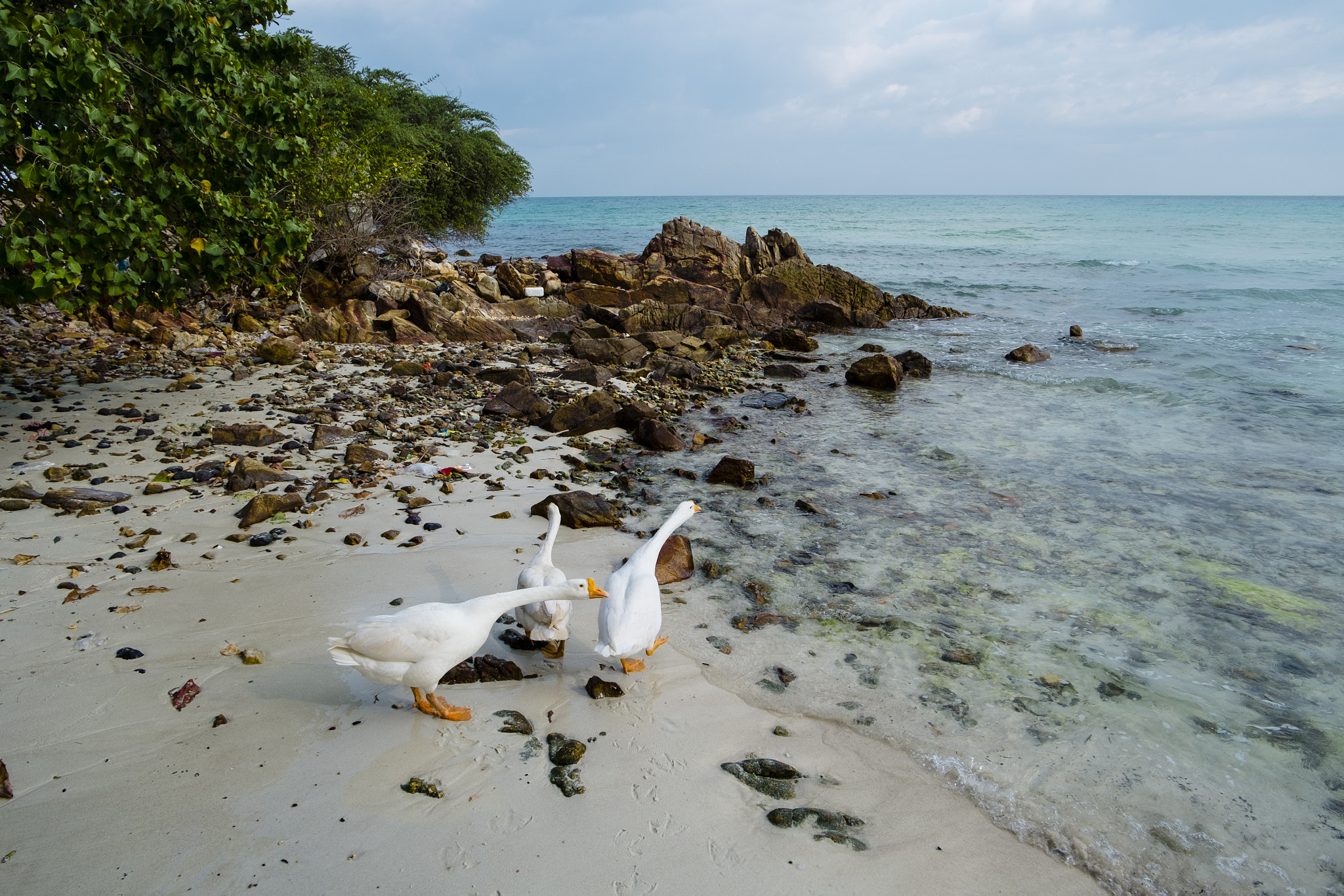 Fujifilm XC 16-50mm F3.5-5.6 OIS sample photo. Done photography