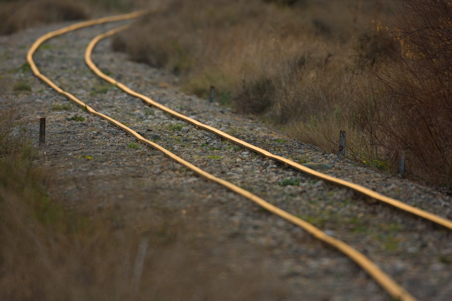 Canon EOS 40D + Canon EF 500mm F4L IS USM sample photo. Golden railroad photography