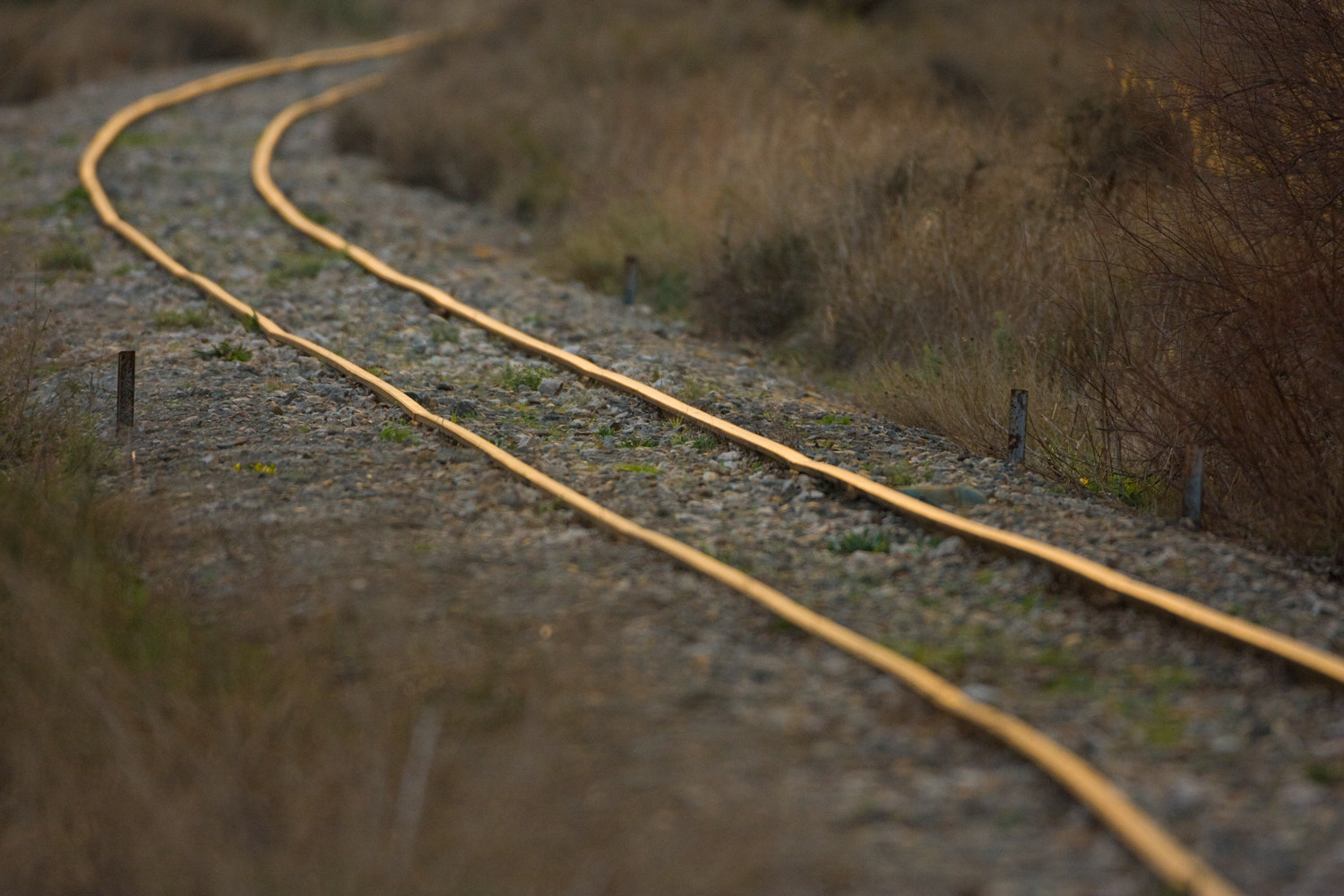 Canon EOS 40D + Canon EF 500mm F4L IS USM sample photo. Golden railroad photography