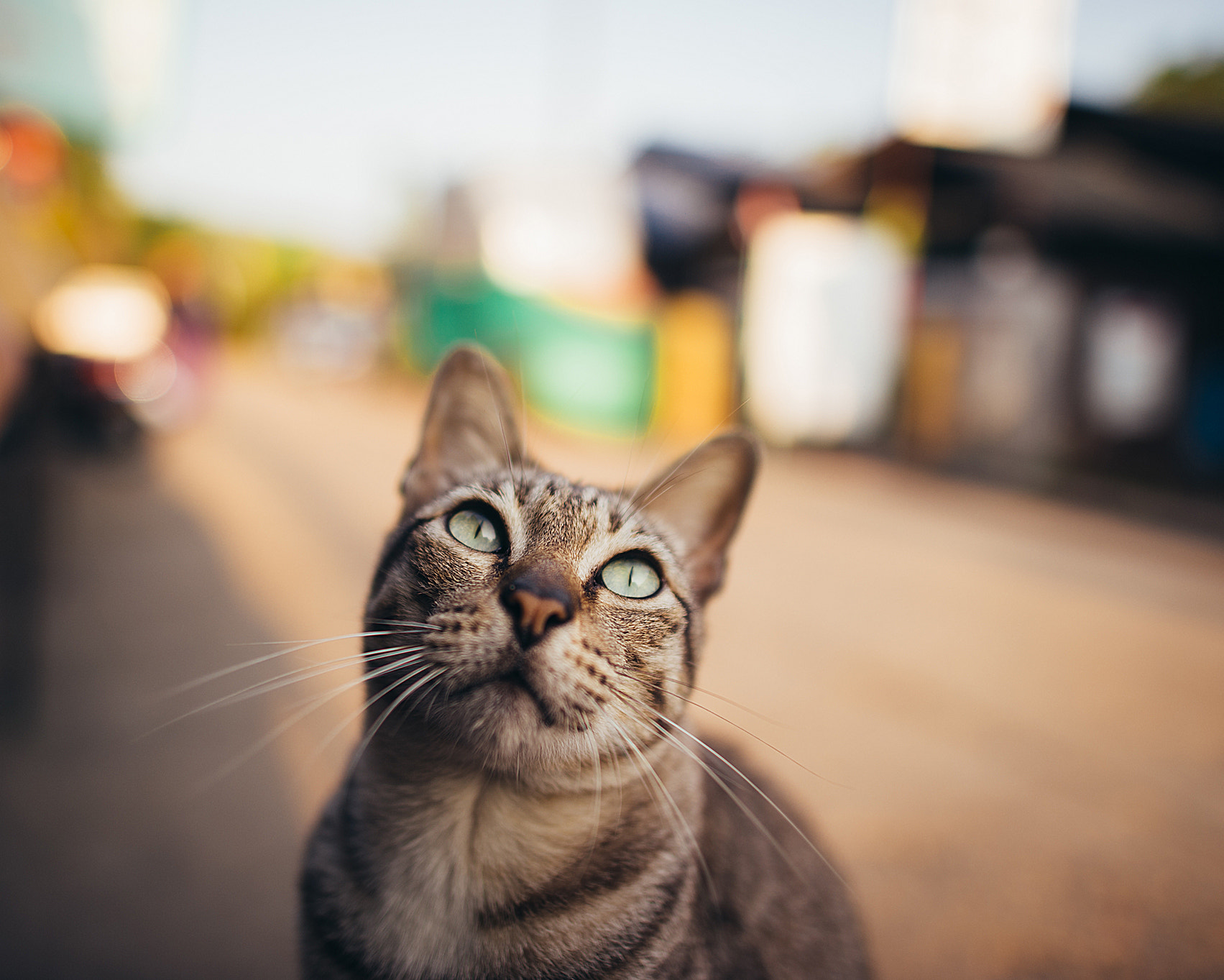 Nikon D700 + Nikon AF-S Nikkor 24mm F1.4G ED sample photo. :) photography