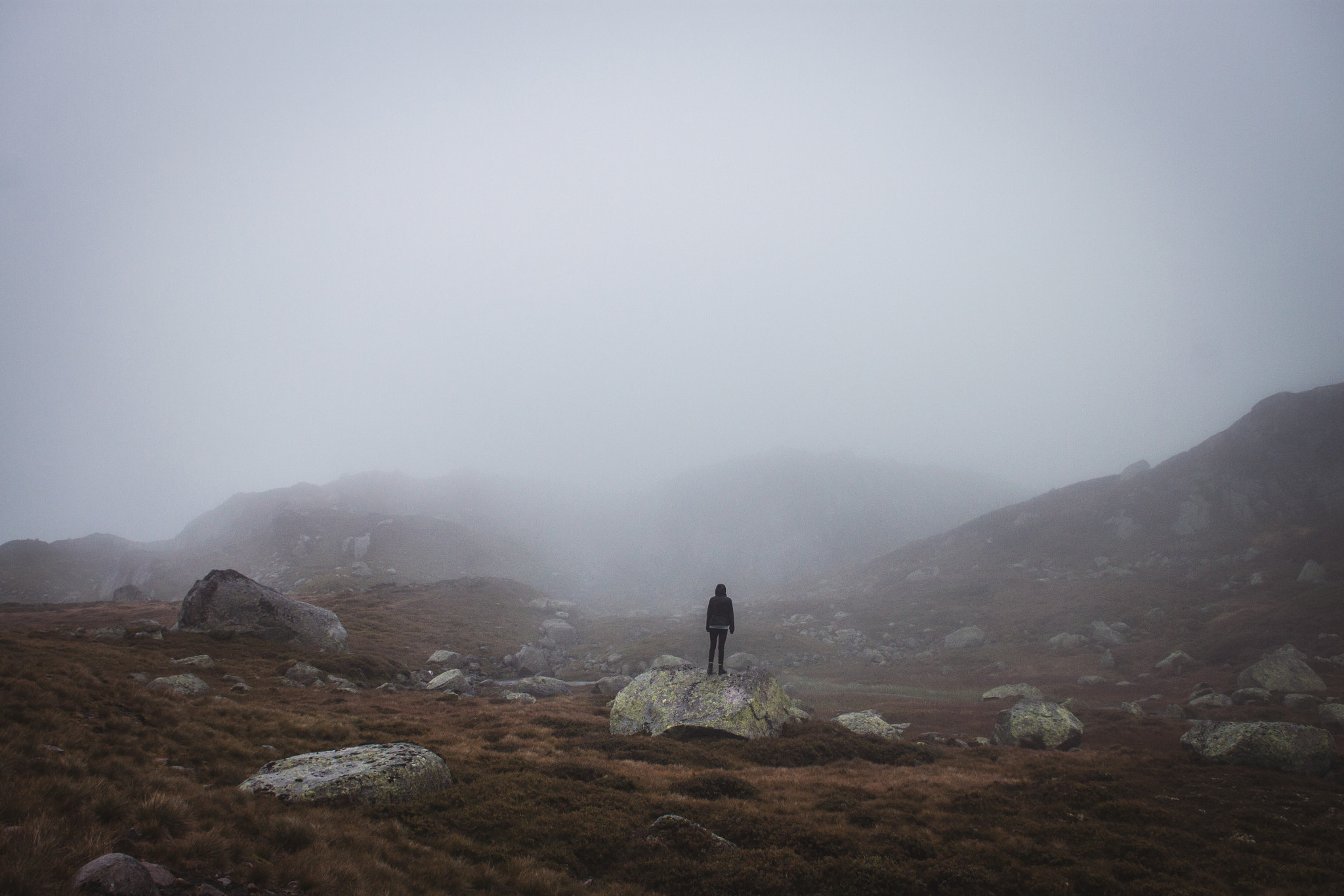 Sigma 18-50mm F2.8-4.5 DC OS HSM sample photo. Into the wild / norway photography