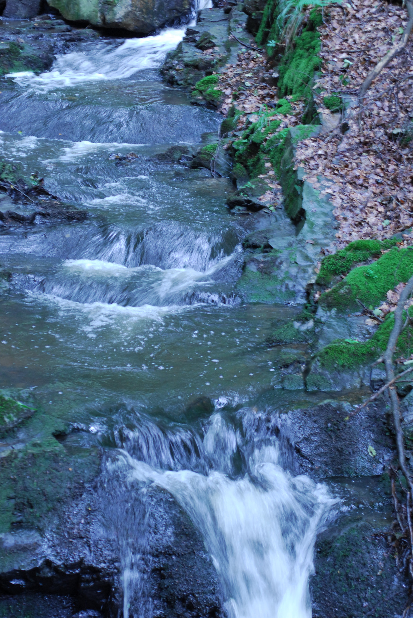 Nikon D200 + AF Nikkor 50mm f/1.4 sample photo. Rapids photography