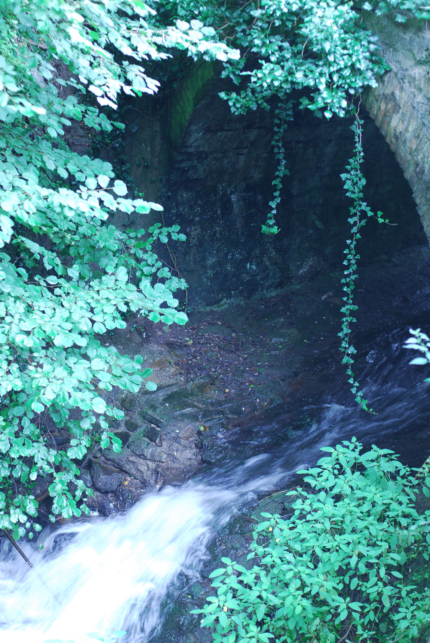 Nikon D200 + AF Nikkor 50mm f/1.4 sample photo. Small rapids photography