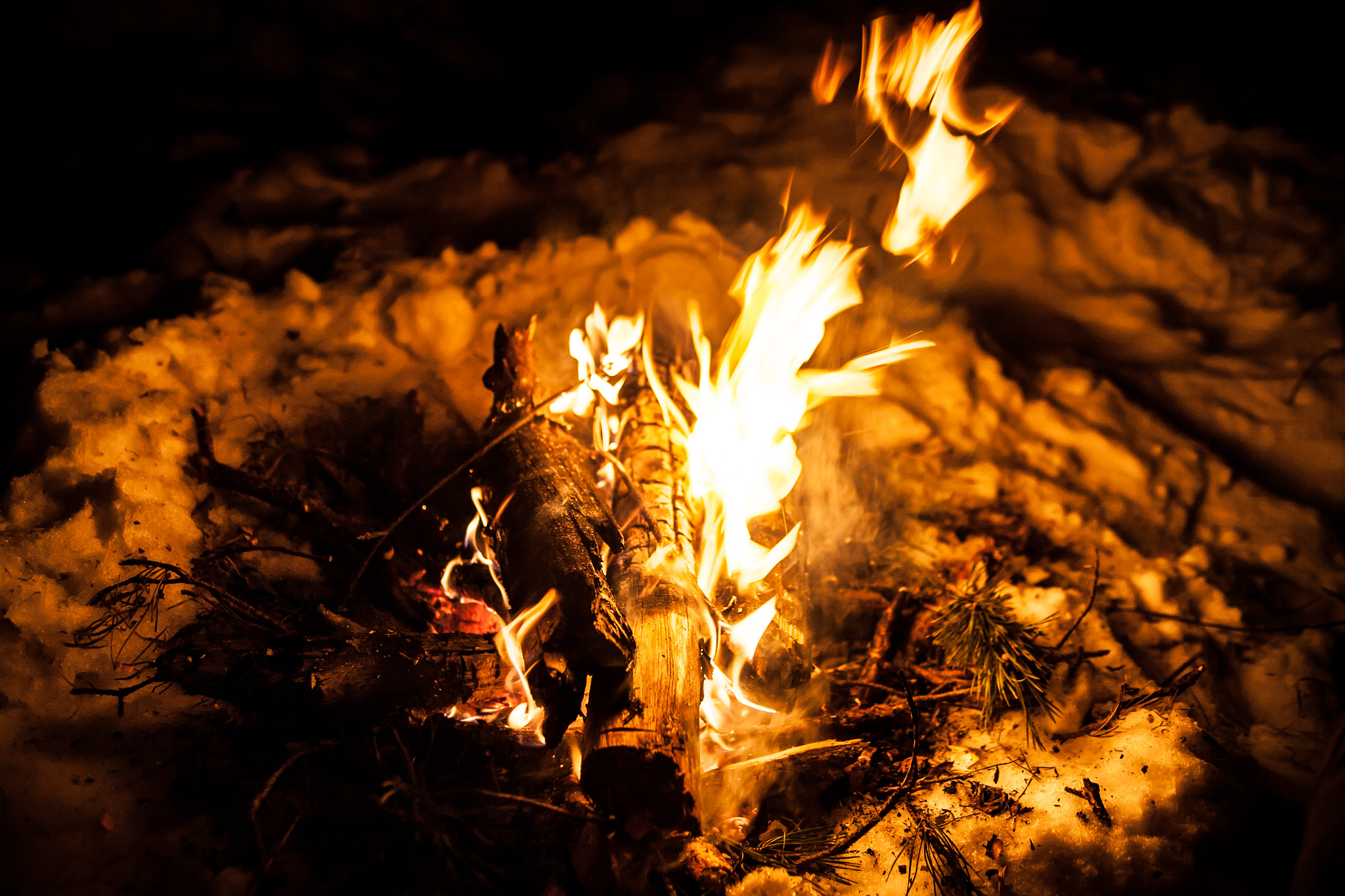 Canon EOS 5D + EF28-70mm f/2.8L USM sample photo. Friendly fire photography