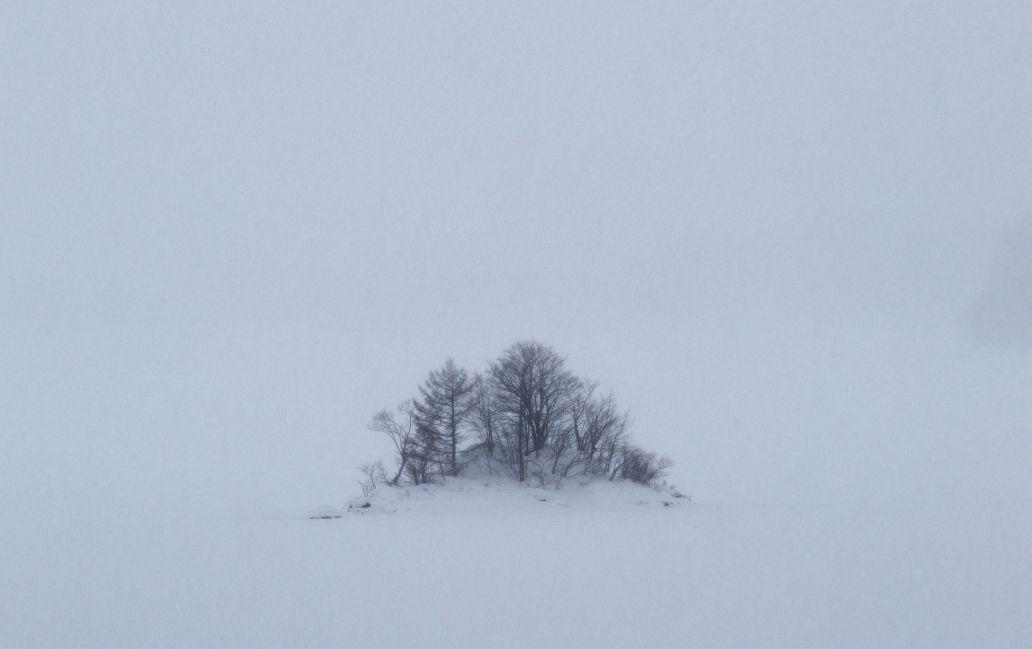 Canon EOS 7D Mark II + Canon EF 70-200mm F2.8L IS II USM sample photo. Hibara lake photography