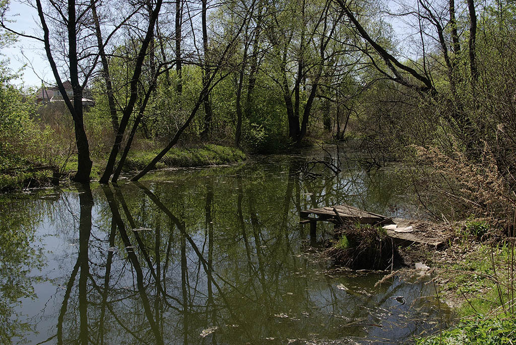 Pentax K10D sample photo. Rozhaika river. photography