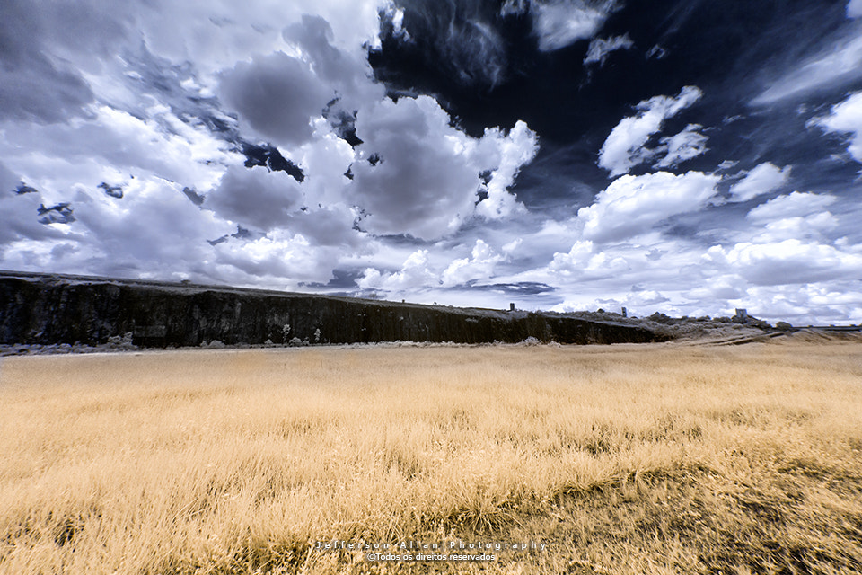 Canon EF 8-15mm F4L Fisheye USM sample photo. Infrared photography