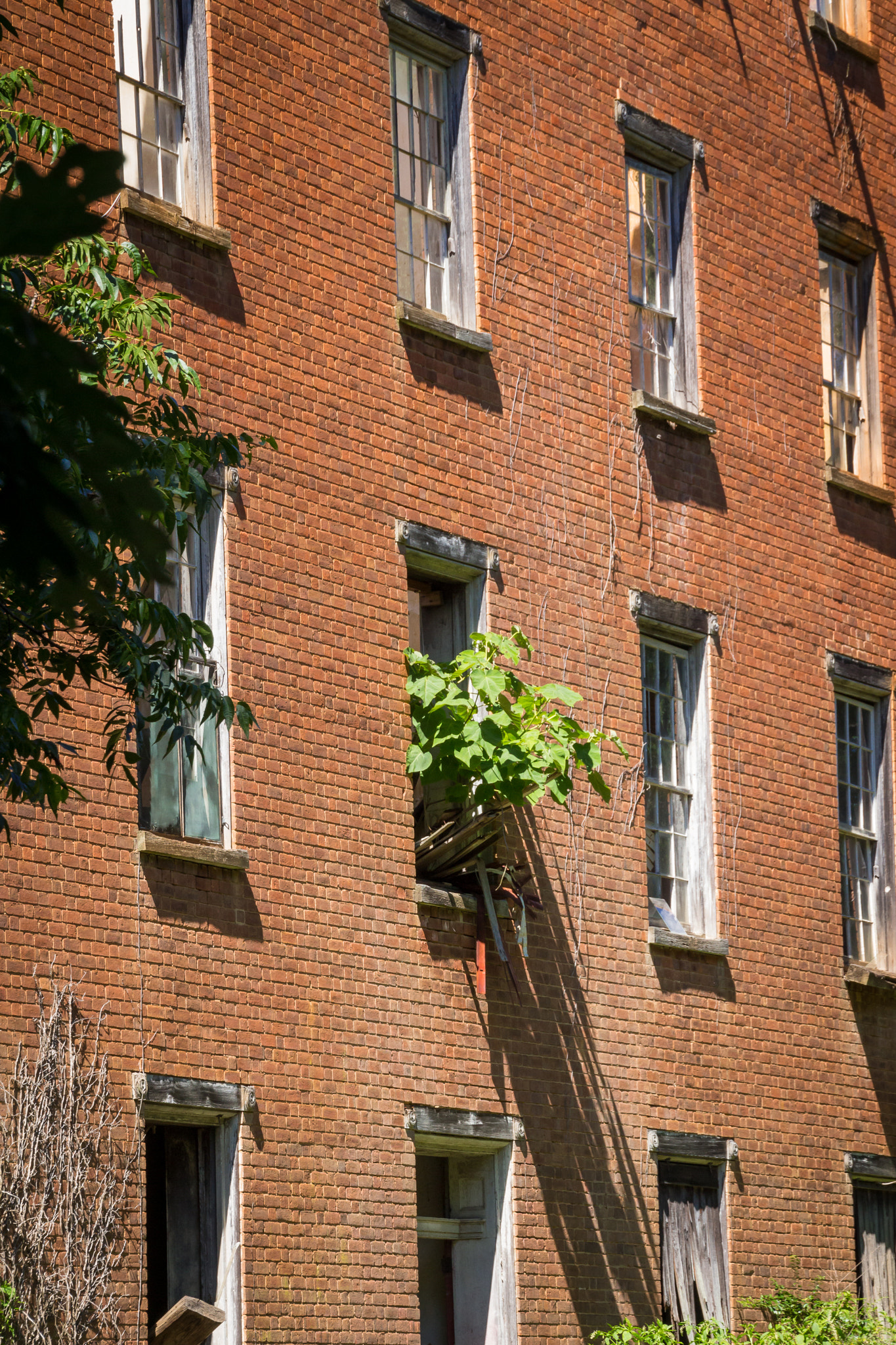 Canon EOS 650D (EOS Rebel T4i / EOS Kiss X6i) sample photo. Randolph macon college photography