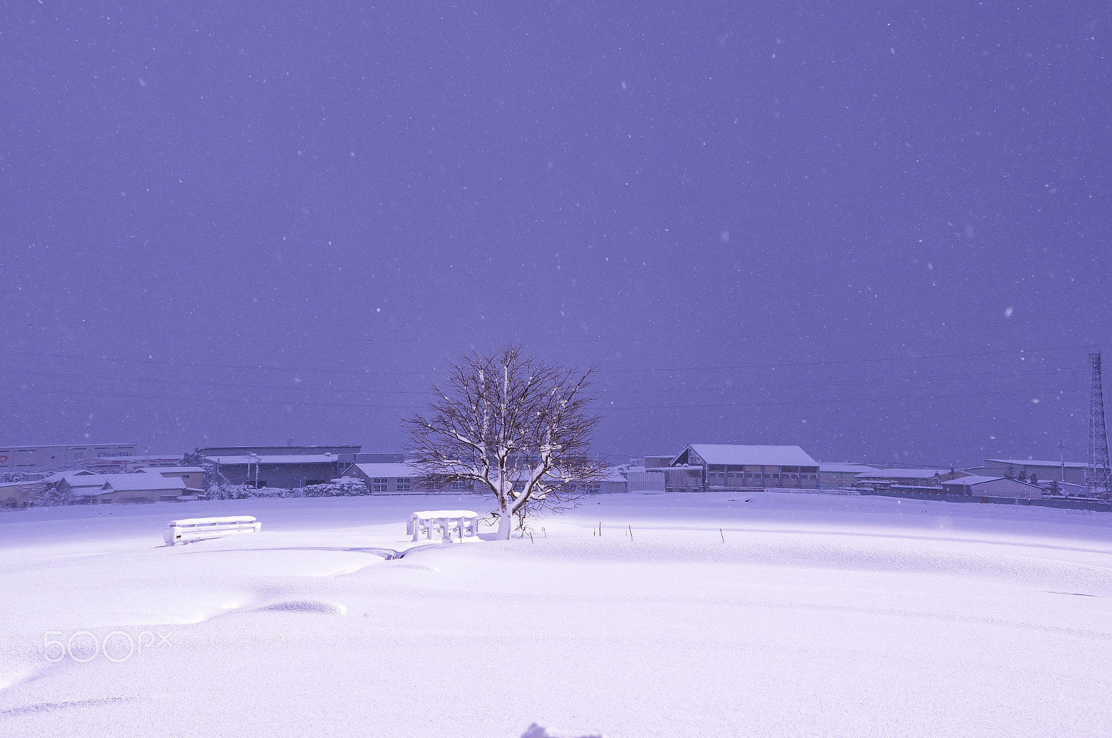 smc PENTAX-DA L 55-300mm F4-5.8 ED sample photo. "冬 " winter photography