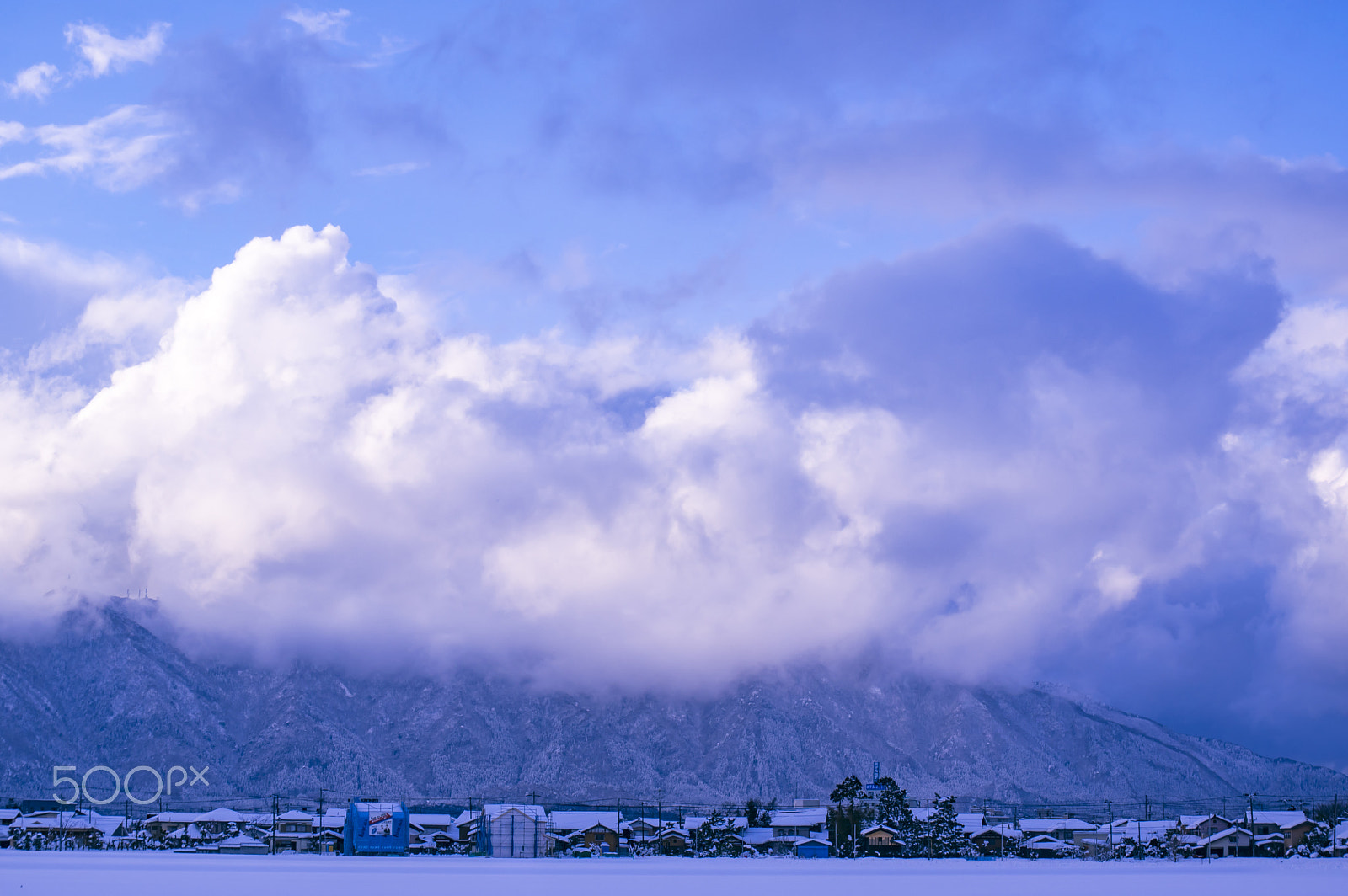 Tamron AF 18-200mm F3.5-6.3 XR Di II LD Aspherical (IF) Macro sample photo. "冬 " winter photography
