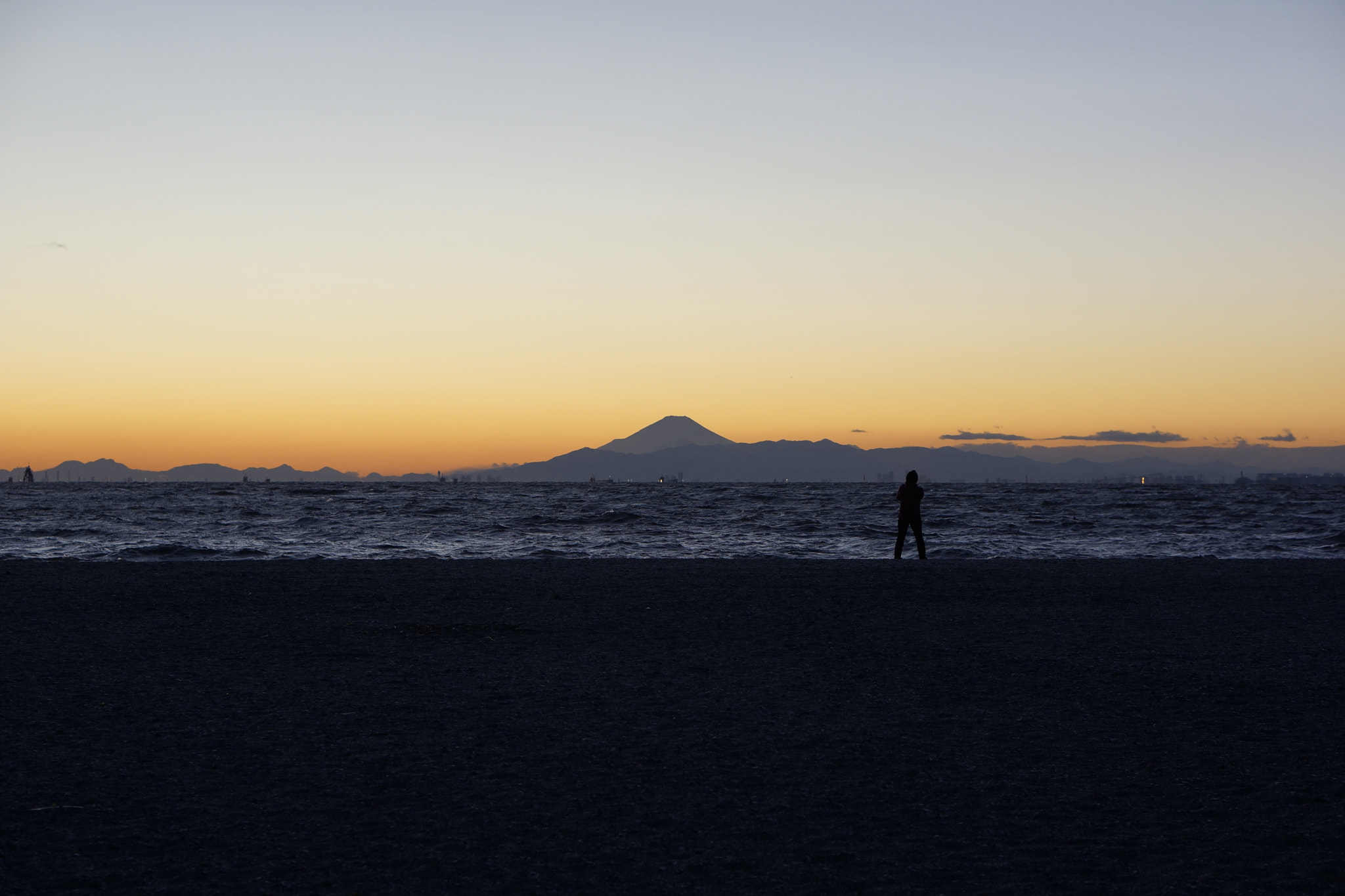 Sony Alpha NEX-7 + Sony E 50mm F1.8 OSS sample photo. Tokyo sea photography