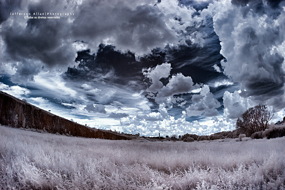 Canon EF 8-15mm F4L Fisheye USM sample photo. Infrared photography