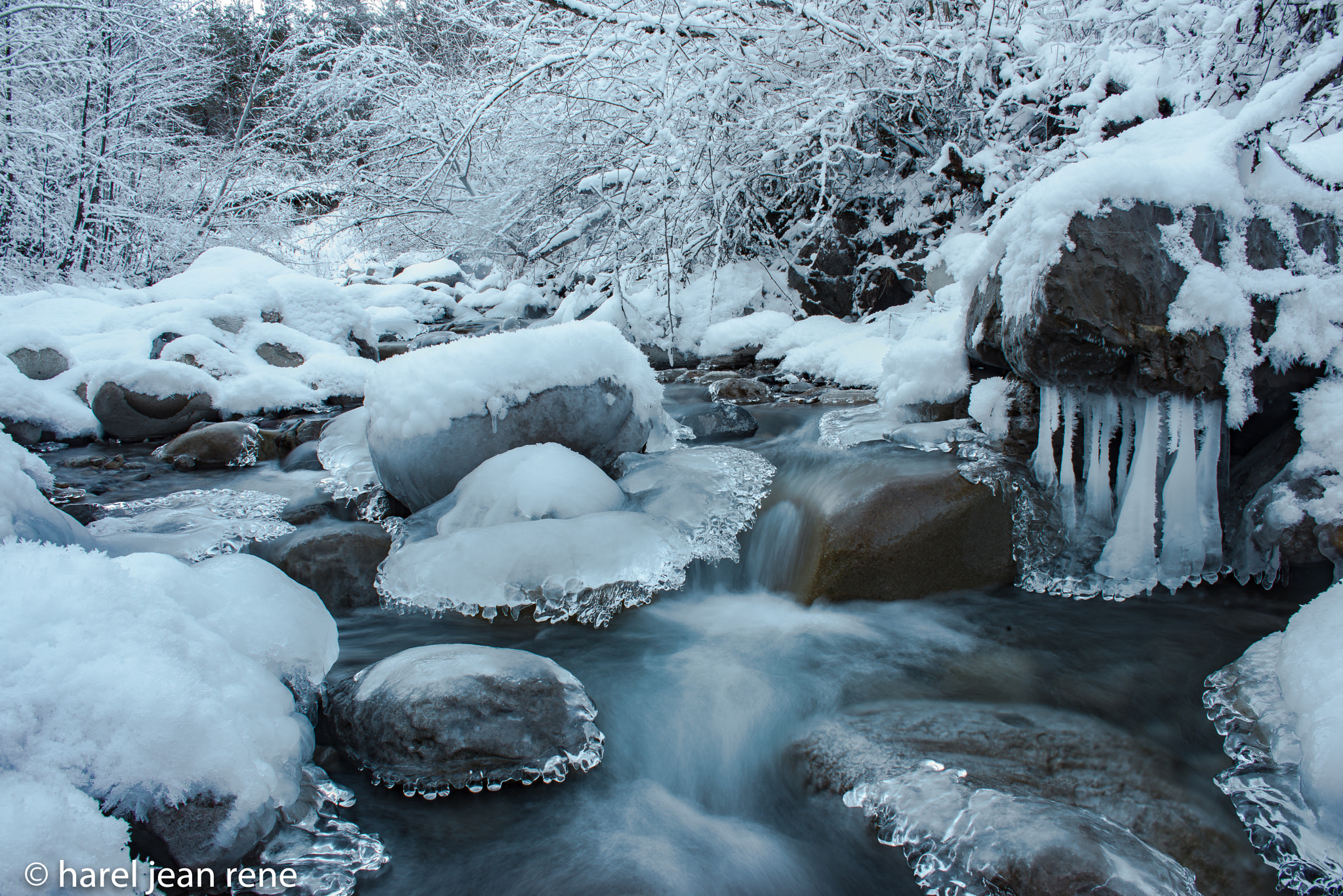 AF Zoom-Nikkor 28-85mm f/3.5-4.5 sample photo. Imprimer photography