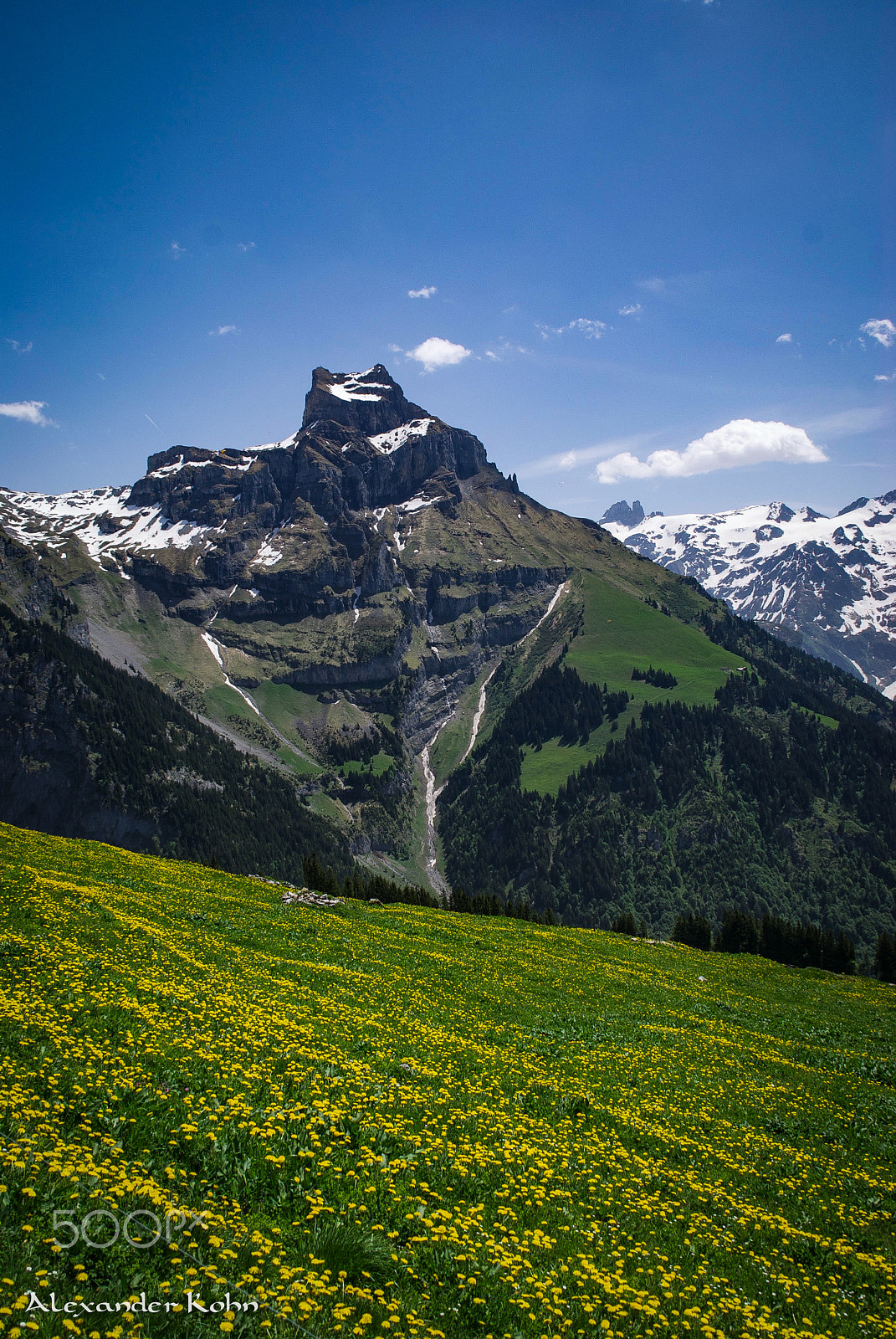 Sony Alpha DSLR-A100 sample photo. Meadow in the mountains photography