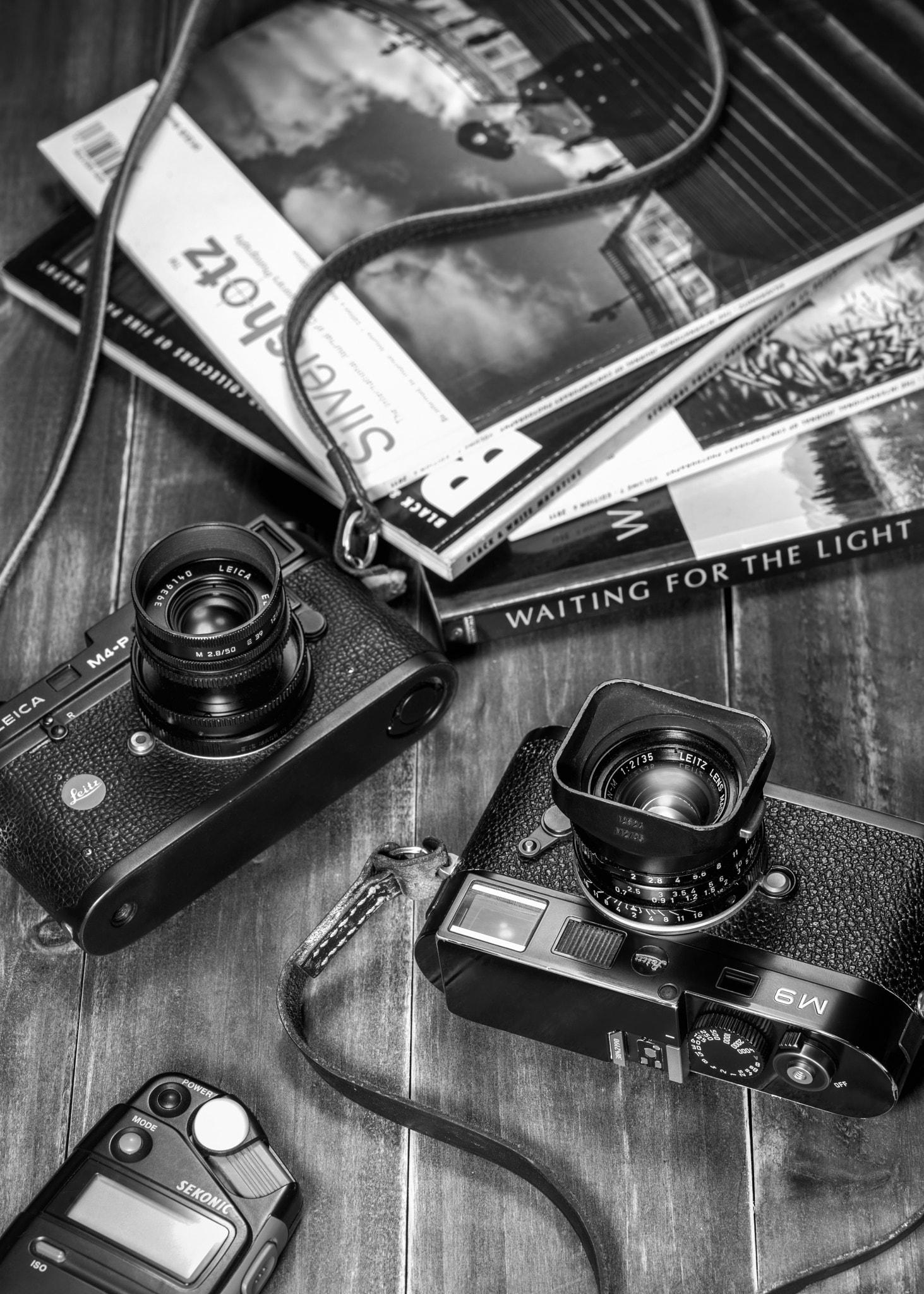 Nikon D800E + PC Micro-Nikkor 85mm f/2.8D sample photo. Leica(b&w) photography