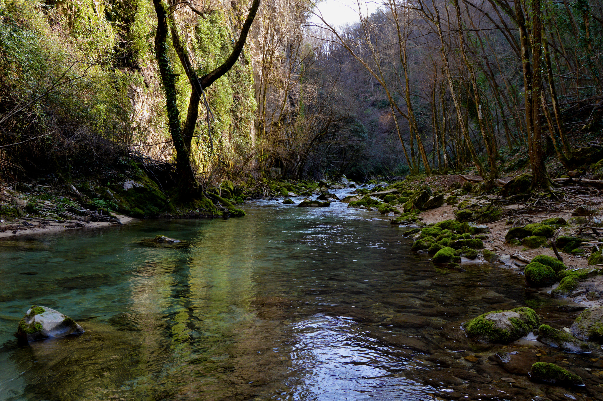 Nikon D3200 + Sigma 105mm F2.8 EX DG Macro sample photo. A good place to rest photography