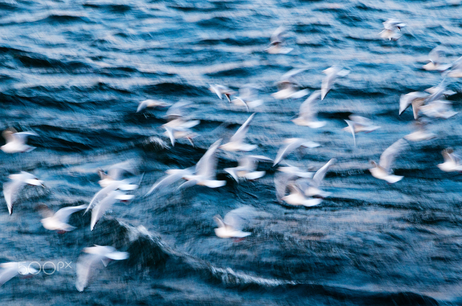 Tamron AF 28-75mm F2.8 XR Di LD Aspherical (IF) sample photo. Fly fly fly ! photography