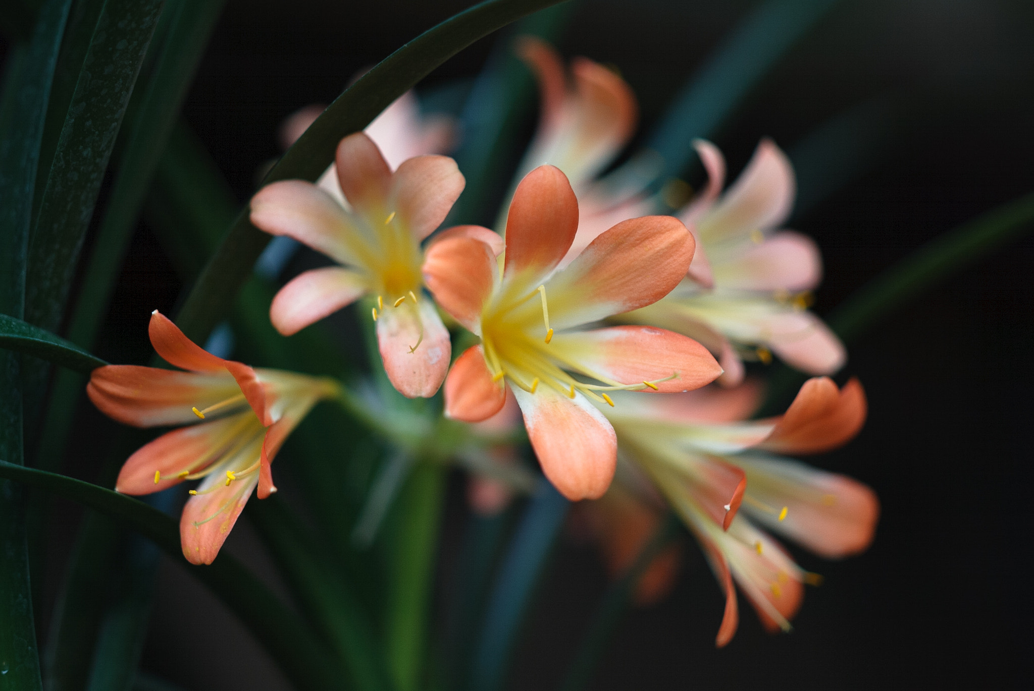 Canon EOS-1D sample photo. 6 photography