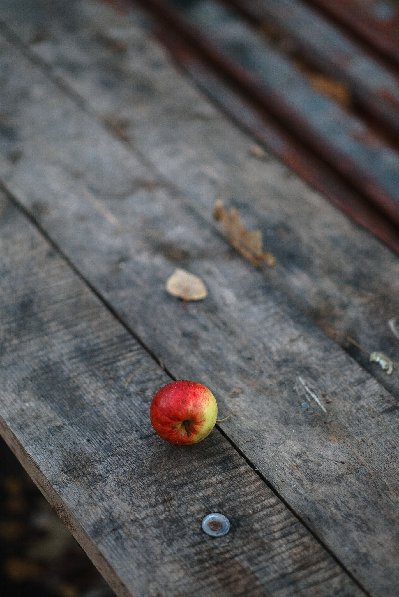 Canon EOS-1D sample photo