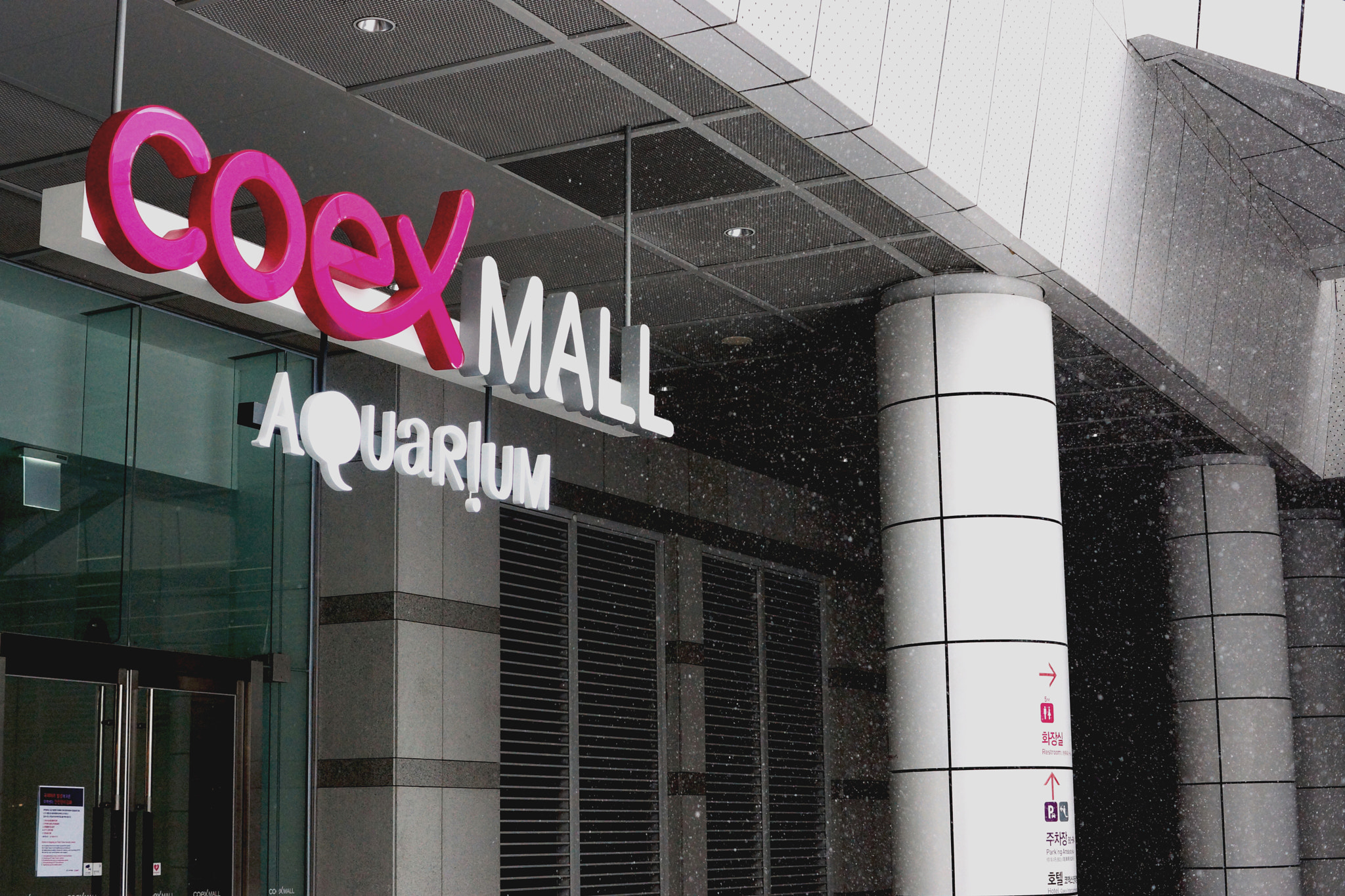 Sony SLT-A77 + Sony DT 35mm F1.8 SAM sample photo. Snowing coex photography