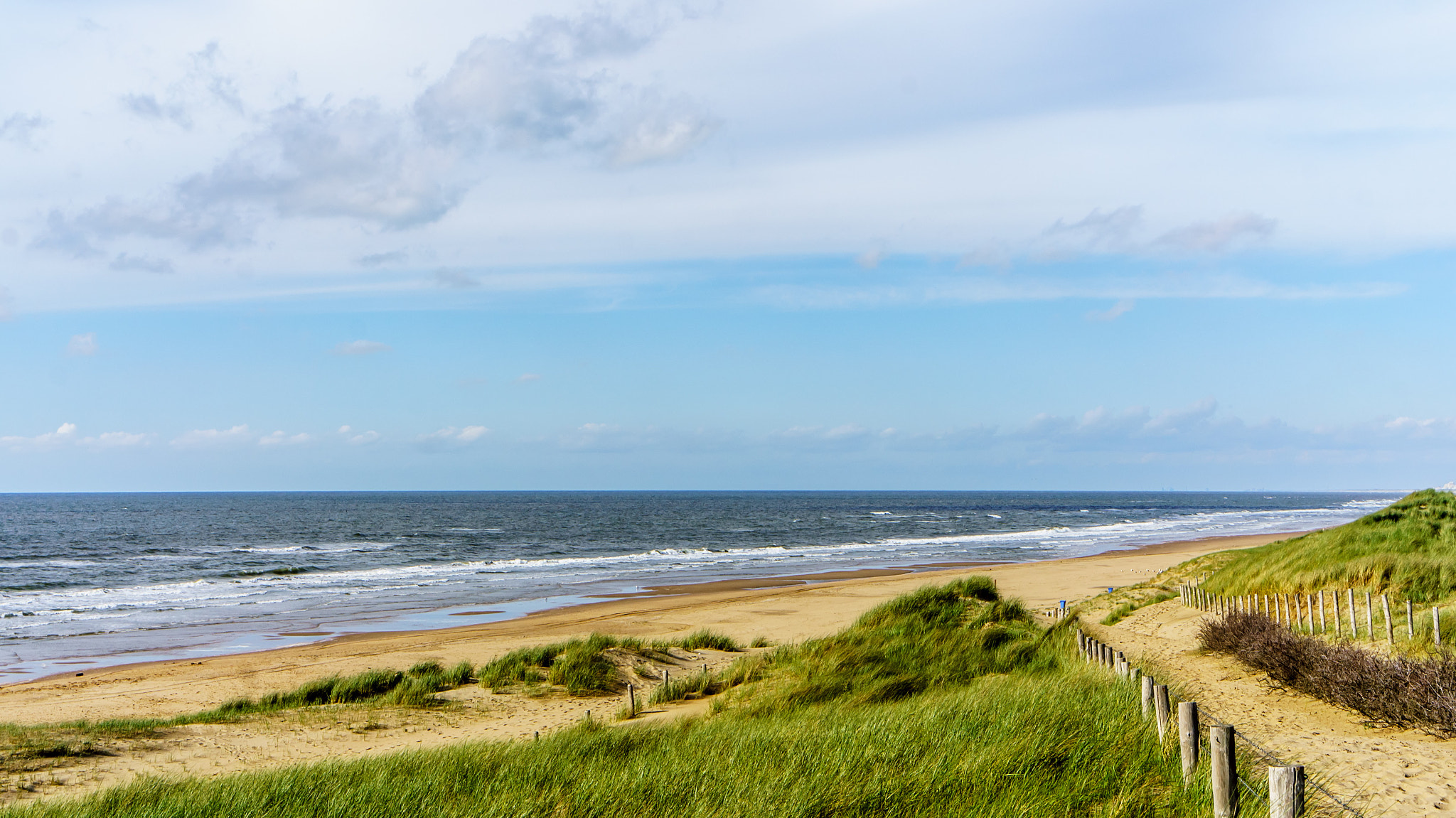 Sony E 35mm F1.8 OSS sample photo. Dunes of meijendel photography
