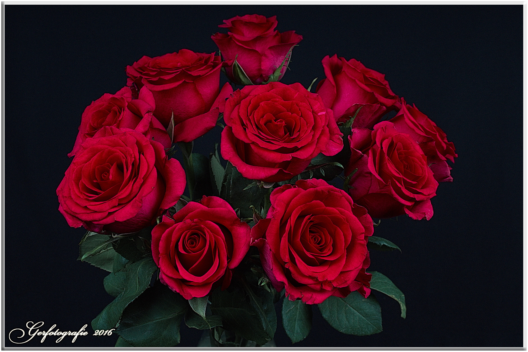 Canon EF-S 18-55mm F3.5-5.6 sample photo. Bunch of roses photography