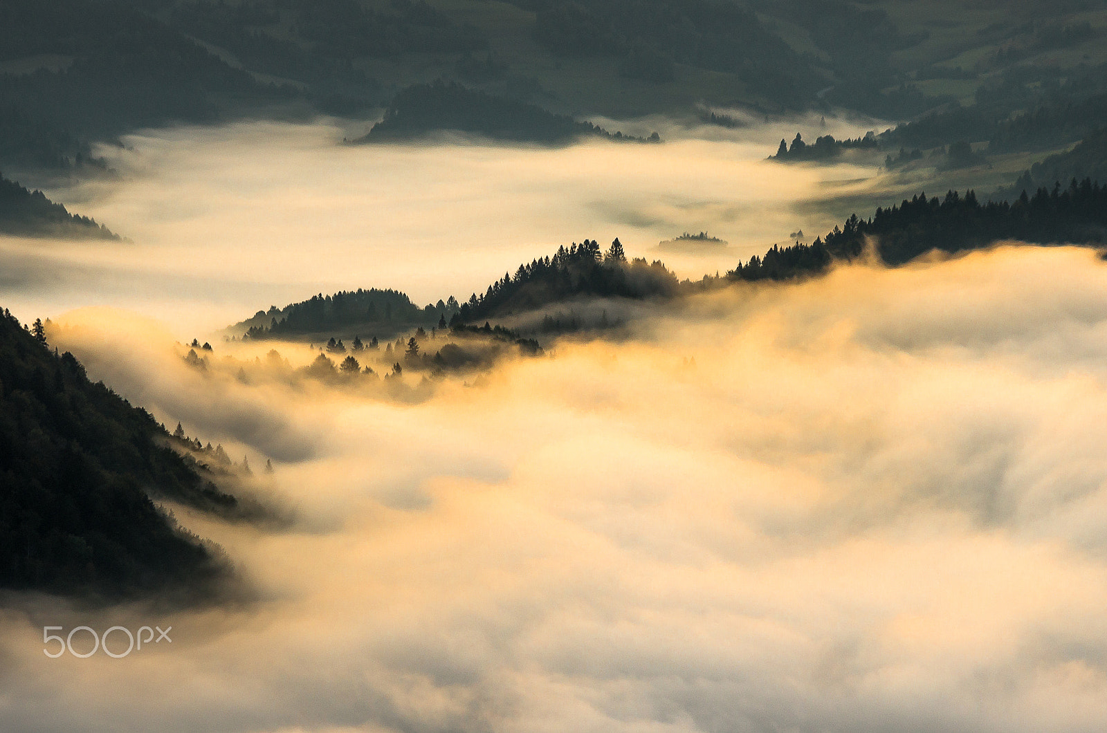 Pentax smc DA 55-300mm F4.0-5.8 ED sample photo. Mistyland photography