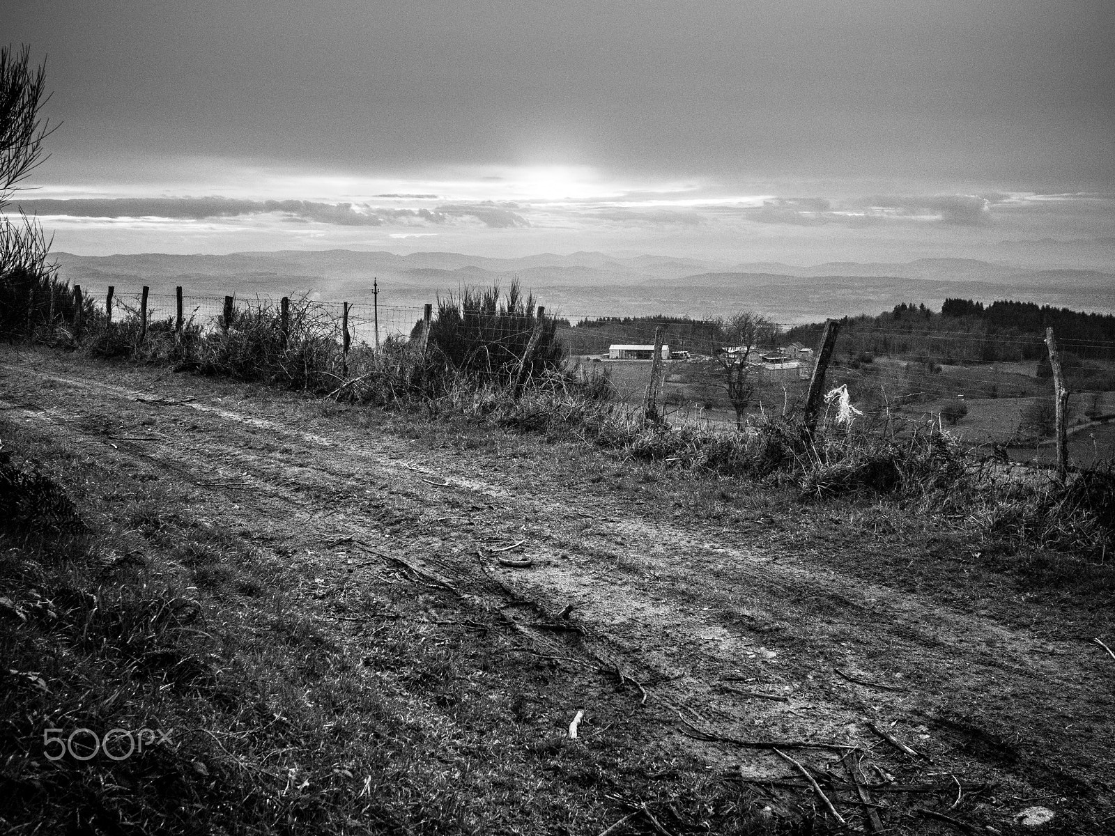 Olympus PEN E-PL5 + Panasonic Lumix G 20mm F1.7 ASPH sample photo. Countryside in auvergne photography