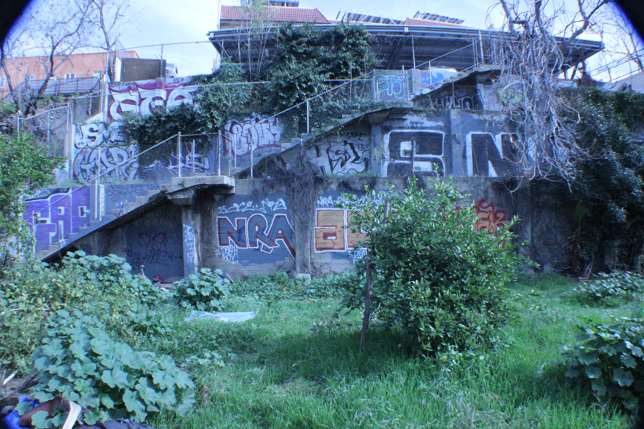 Canon EF-S 18-55mm f/3.5-5.6 USM sample photo. __urban jungle__ photography