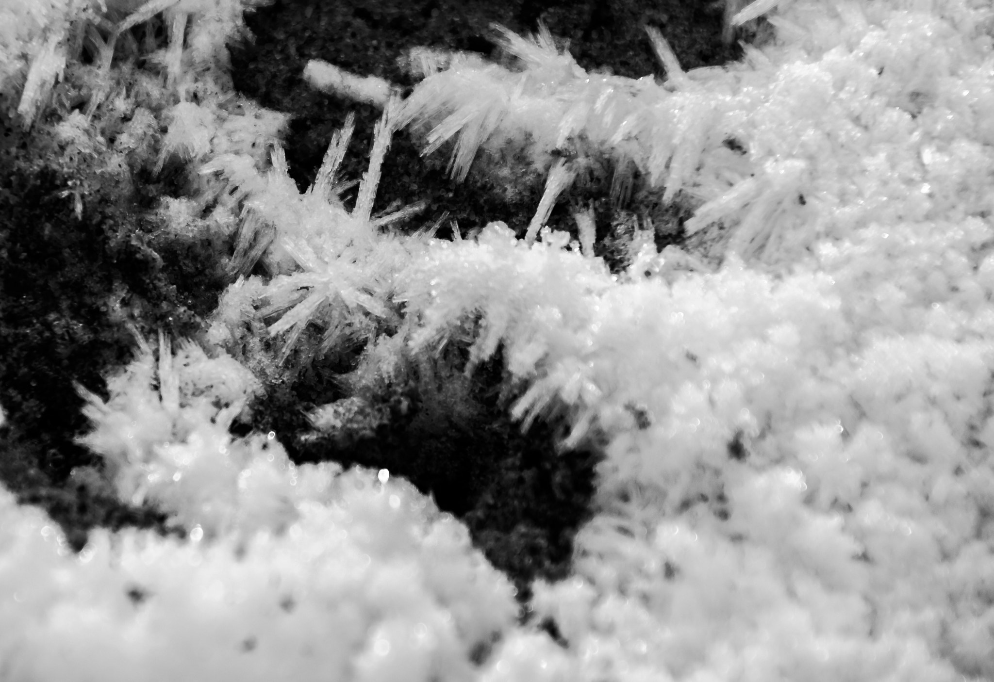 Nikon D3100 + Tamron AF 18-270mm F3.5-6.3 Di II VC LD Aspherical (IF) MACRO sample photo. Winter crystals photography