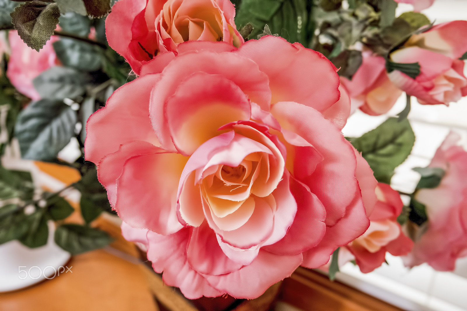 Panasonic Lumix DMC-GX8 sample photo