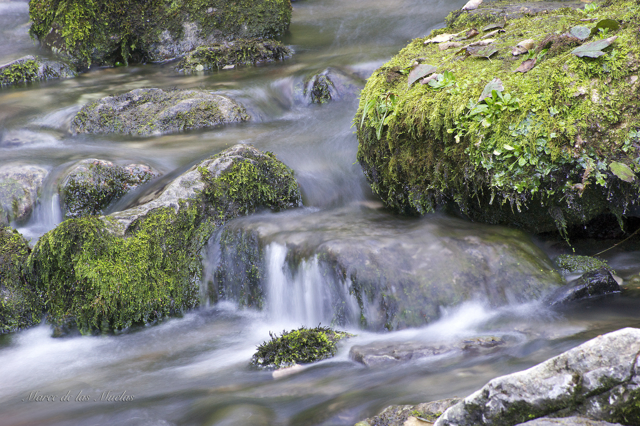 Sony DT 55-200mm F4-5.6 SAM sample photo. Rio espasa photography