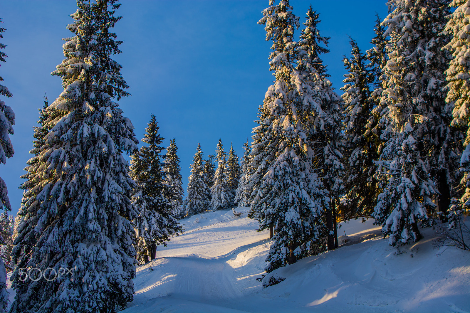AF Zoom-Nikkor 35-80mm f/4-5.6D N sample photo. Mountains photography