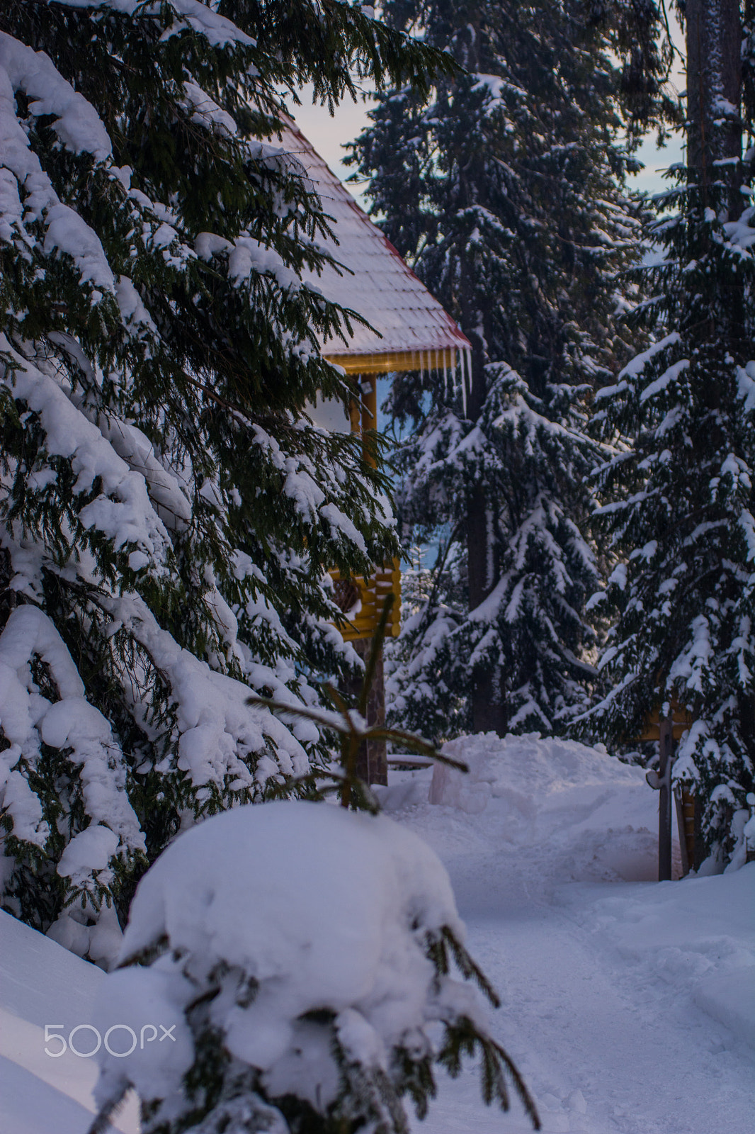 AF Zoom-Nikkor 35-80mm f/4-5.6D N sample photo. Mountains photography