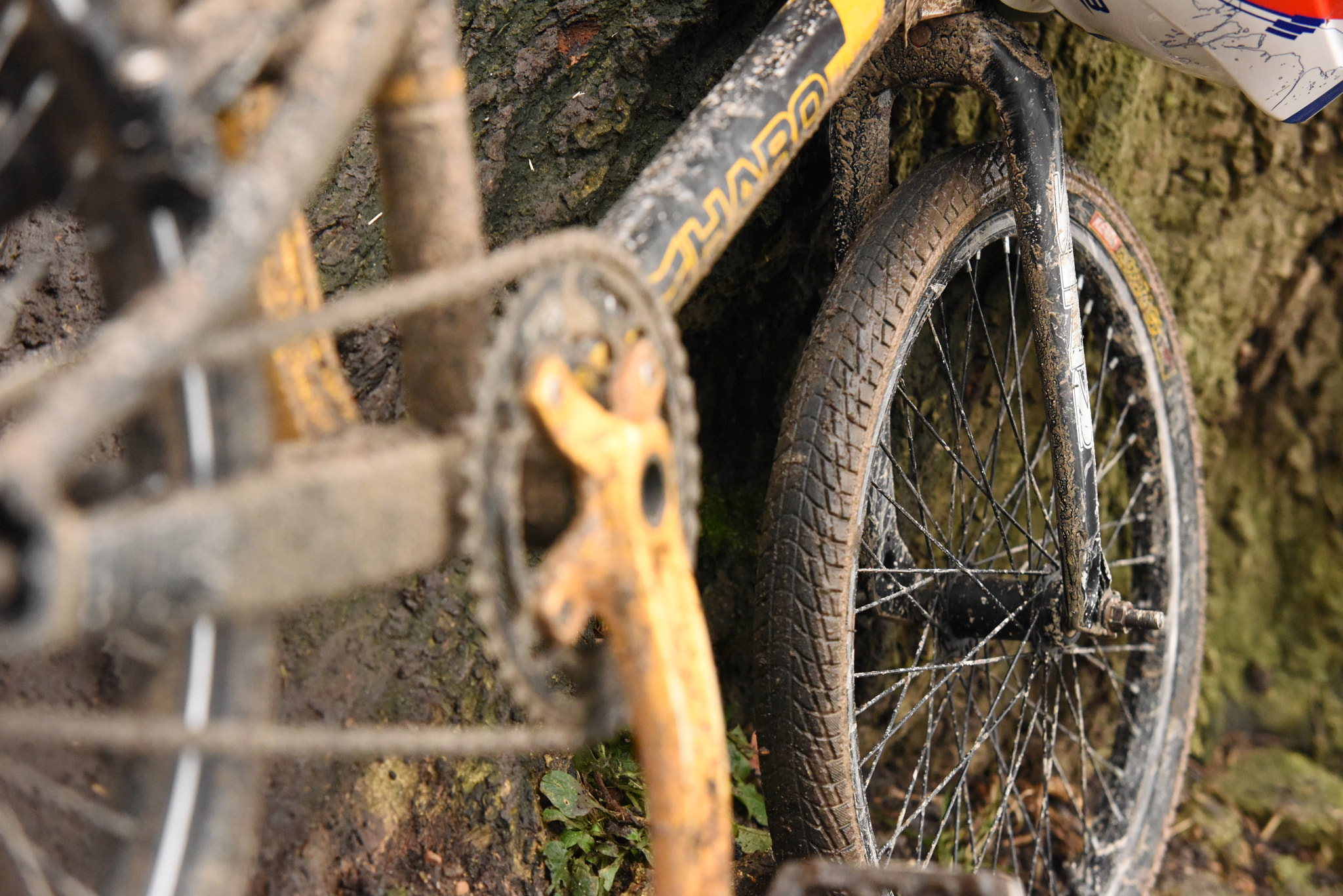 Sigma 70-200mm F2.8 EX DG Macro HSM II sample photo. Haro bmx photography