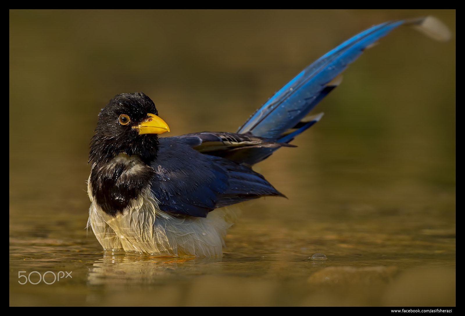 Nikon D4S sample photo. Beauty of the nature photography