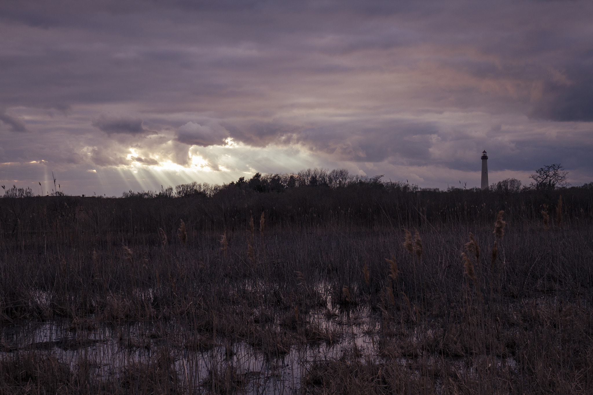 Canon EOS 500D (EOS Rebel T1i / EOS Kiss X3) + Canon EF 16-35mm F4L IS USM sample photo. Beams of dusk photography