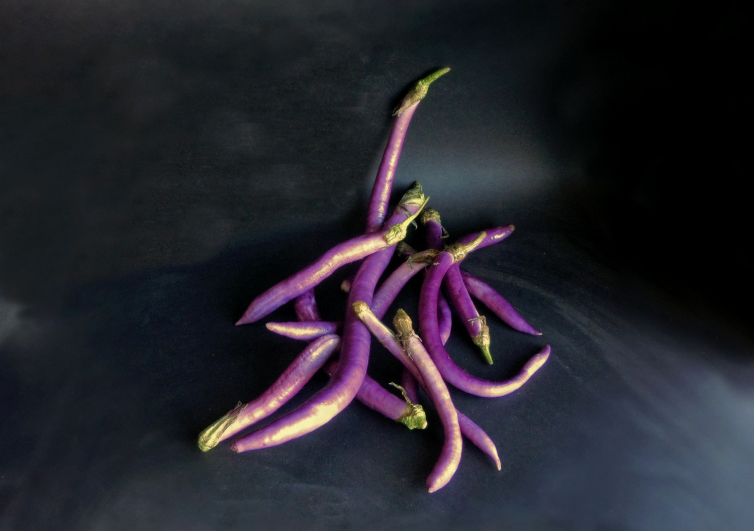 CASIO EX-ZR200 sample photo. Aubergines photography