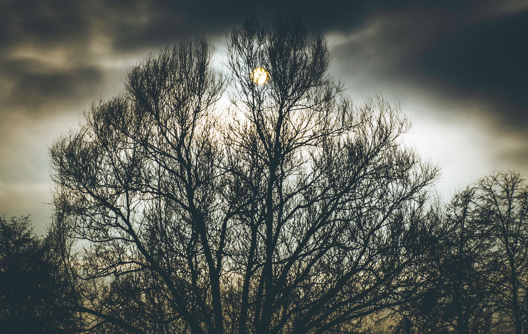 Sony Alpha DSLR-A500 + Sony 50mm F1.4 sample photo. The moon photography