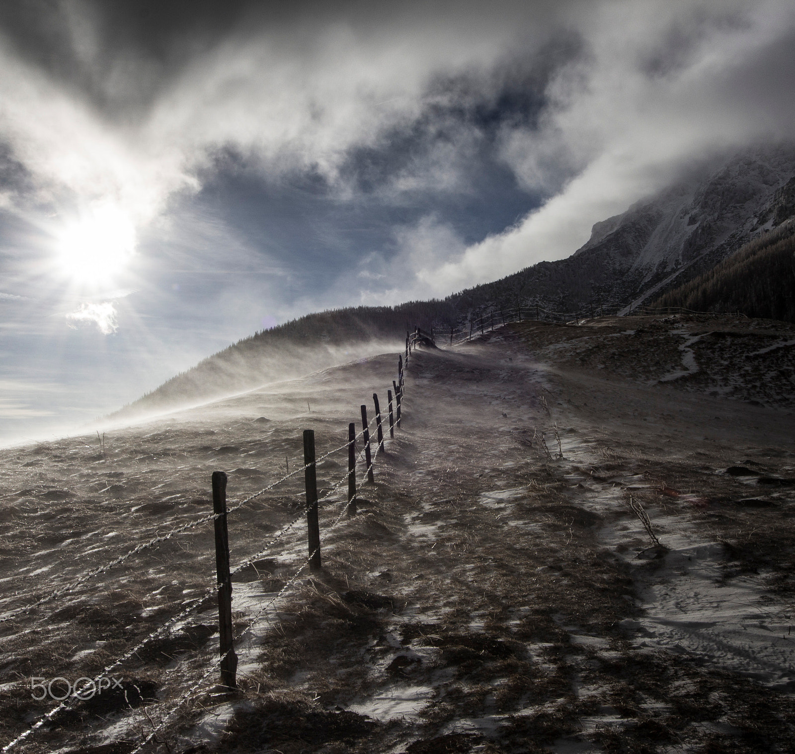 Sigma 8-16mm F4.5-5.6 DC HSM sample photo. Windy and cold photography