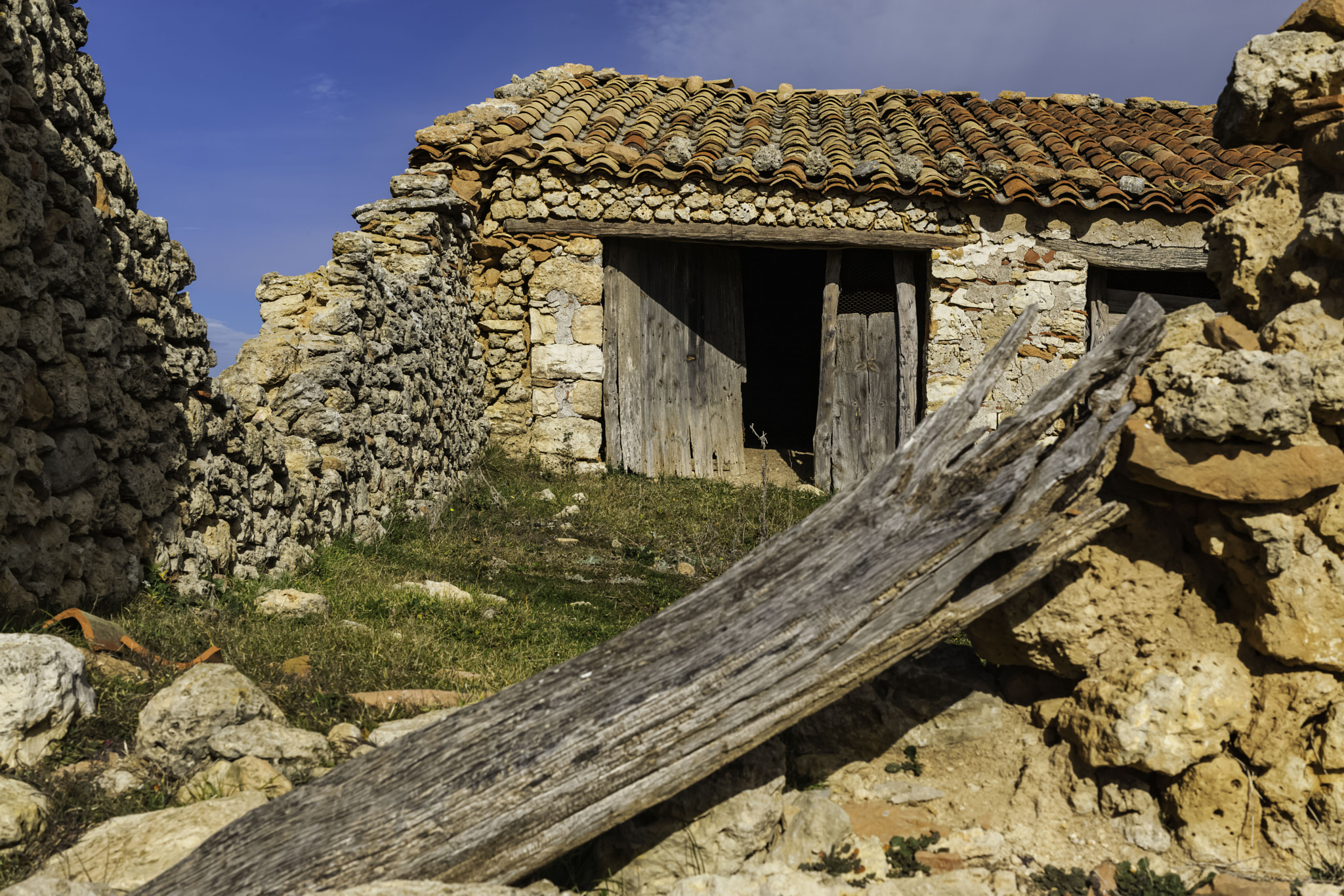 Canon EOS-1Ds Mark III sample photo. Wood and stones photography