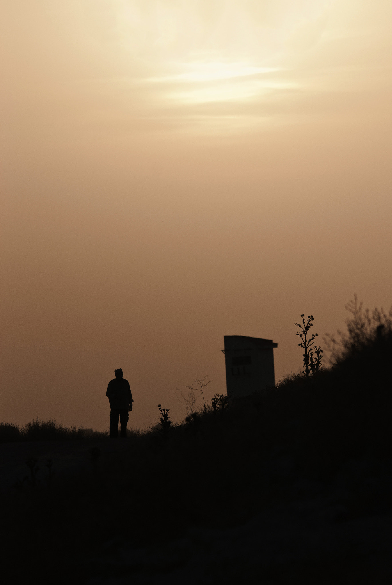 Sigma 150-500mm F5-6.3 DG OS HSM sample photo. Puesta de sol photography