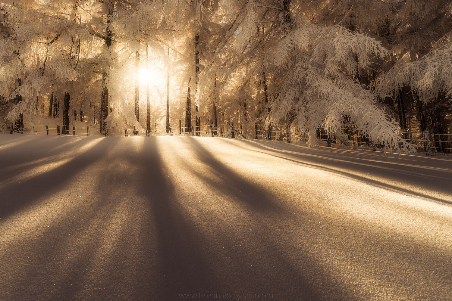 Sony Alpha DSLR-A850 sample photo. Hielo en kintoa (nafarroa - navarra) photography