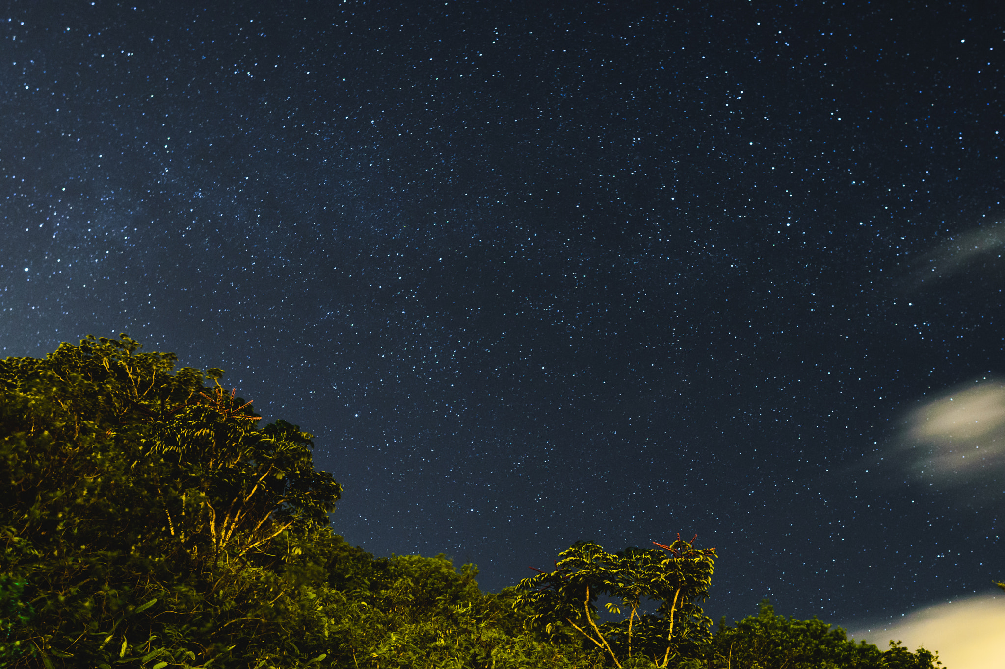 Nikon D5300 + Nikon AF-S Nikkor 24mm F1.4G ED sample photo. Night sky photography