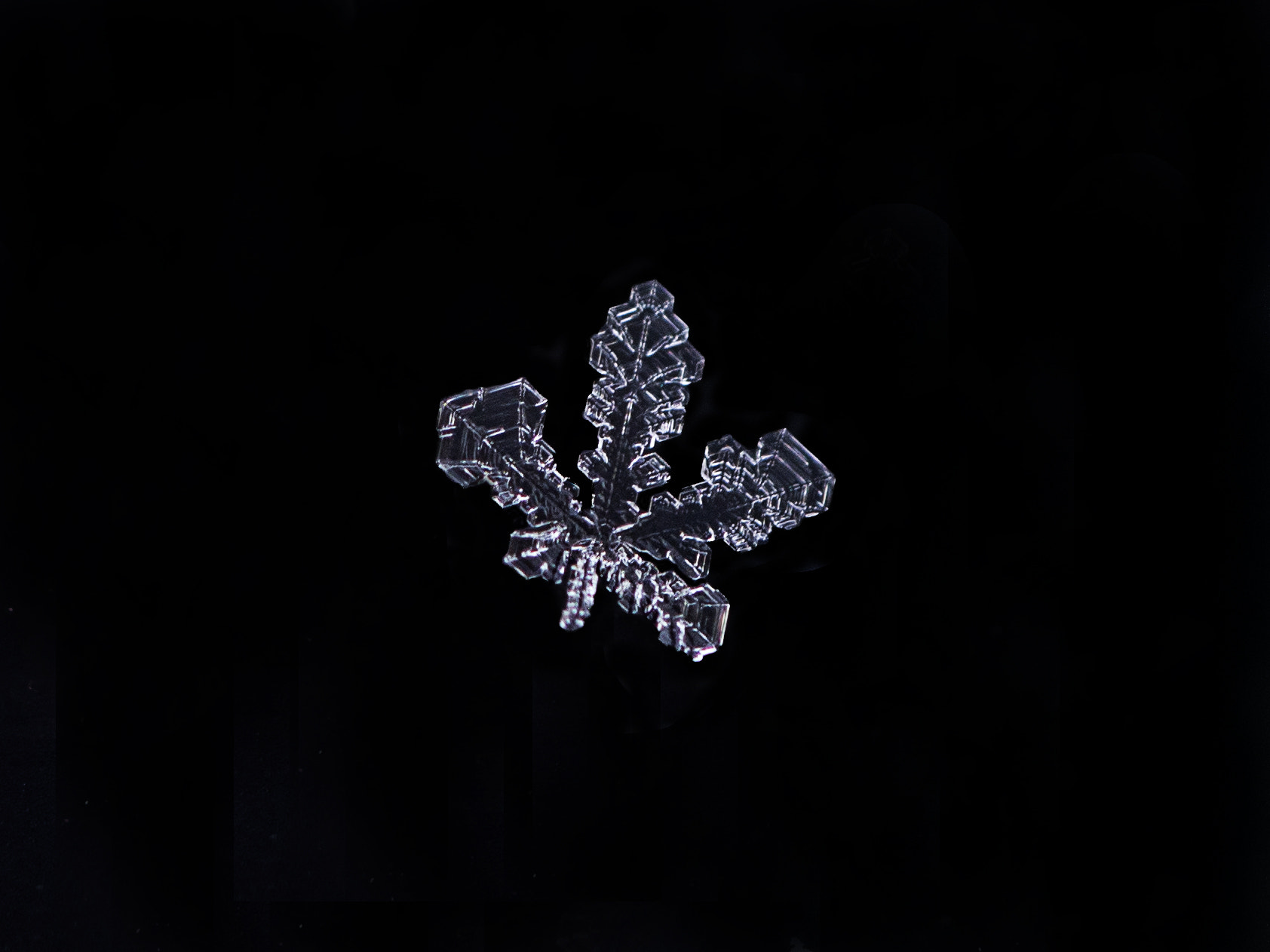 Samsung NX300 + Samsung NX 60mm F2.8 Macro ED OIS SSA sample photo. Natural jewelry design.. photography